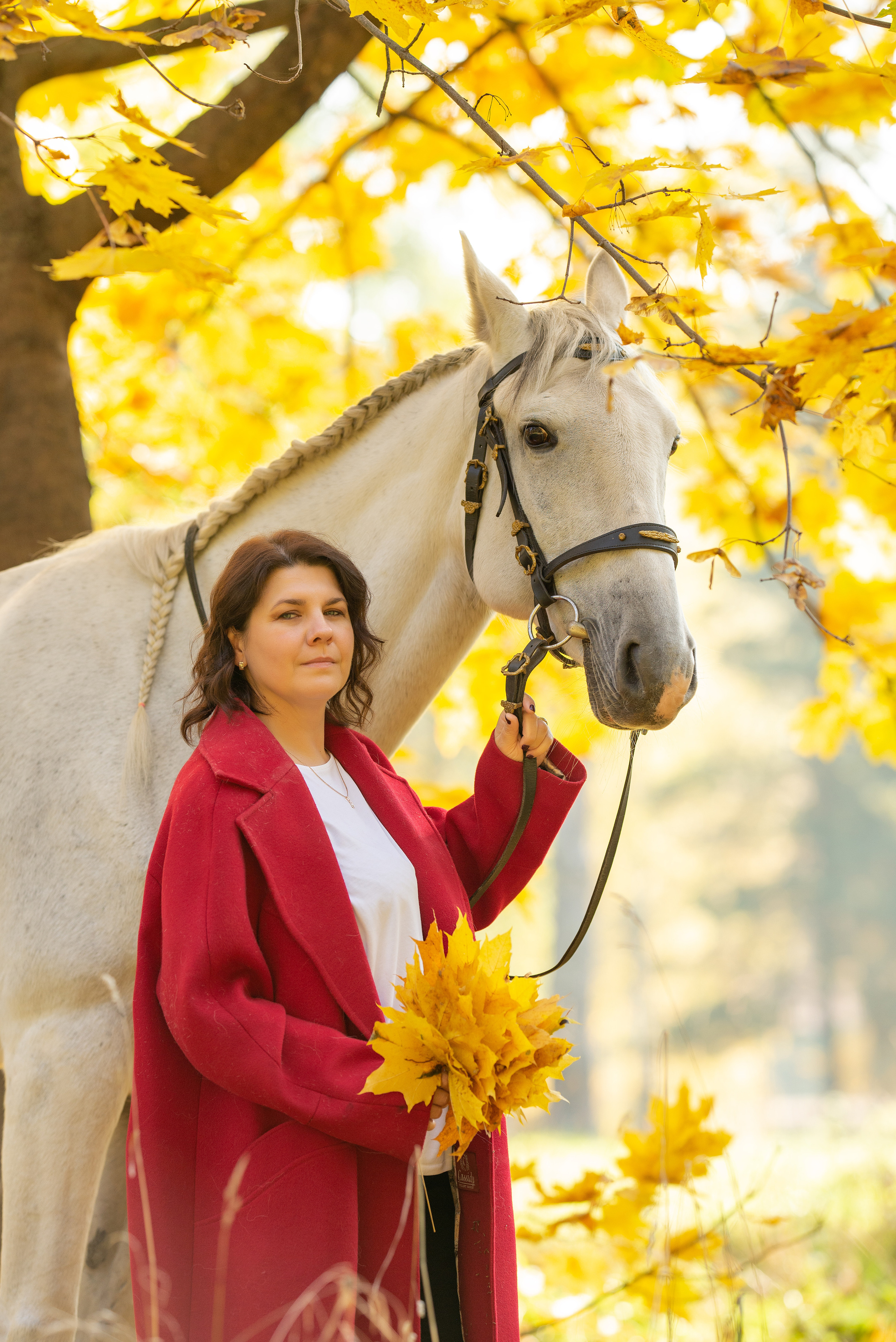 Фотосъёмки с лошадьми. Фотограф Юлия Милосердова
