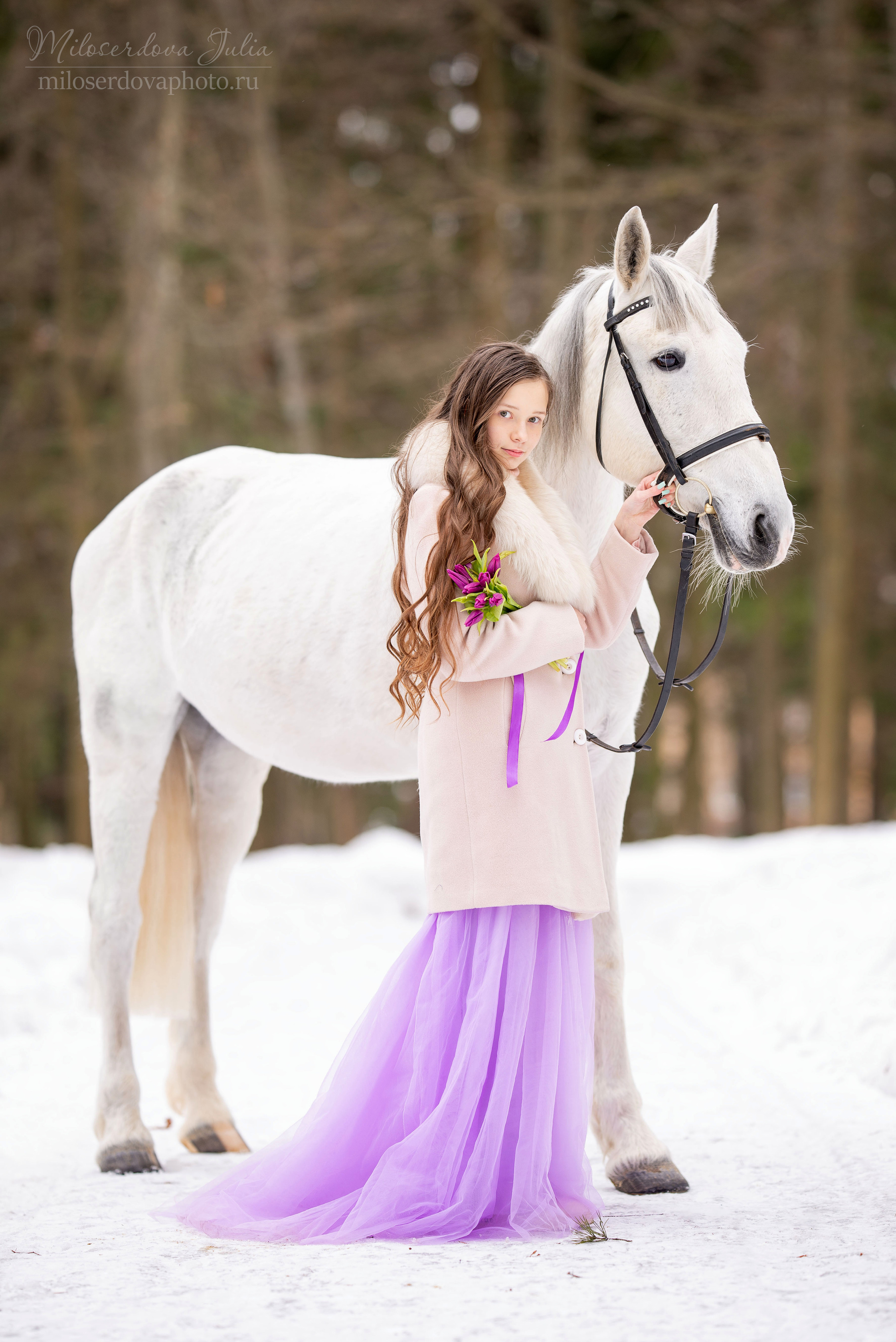 Фотосъёмки с лошадьми. Фотограф Юлия Милосердова