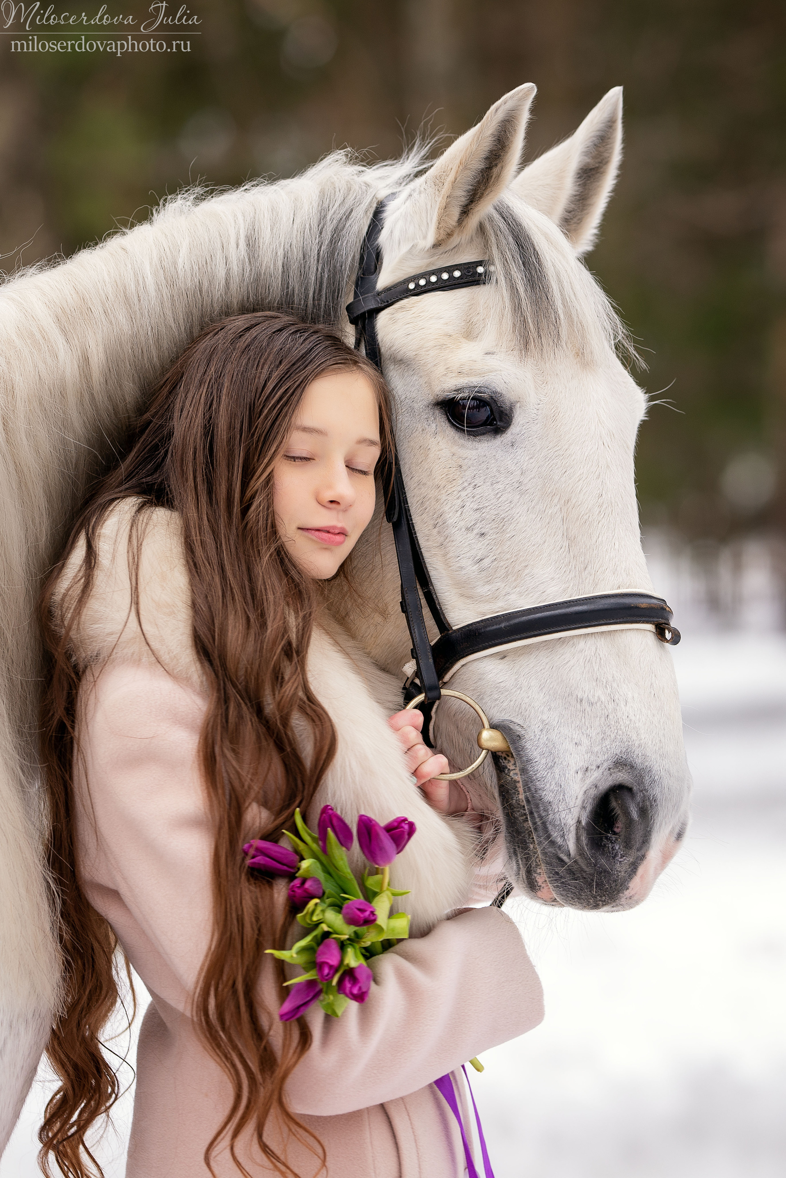 Фотосъёмки с лошадьми. Фотограф Юлия Милосердова