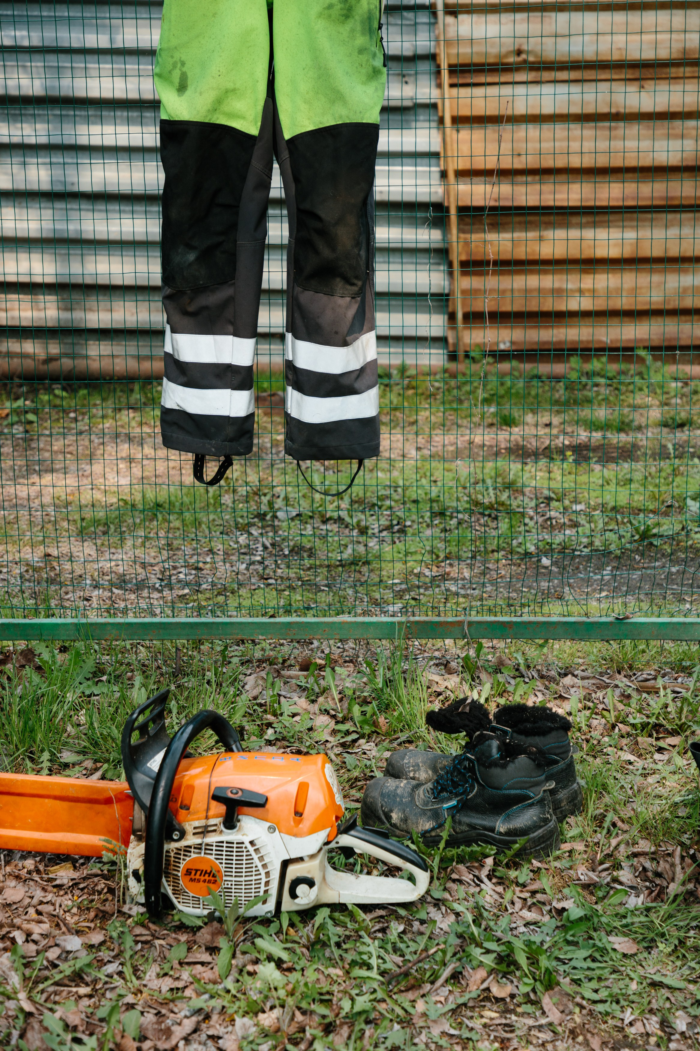 Арборист. Семейный фотограф в Хабаровске Катаева Ольга