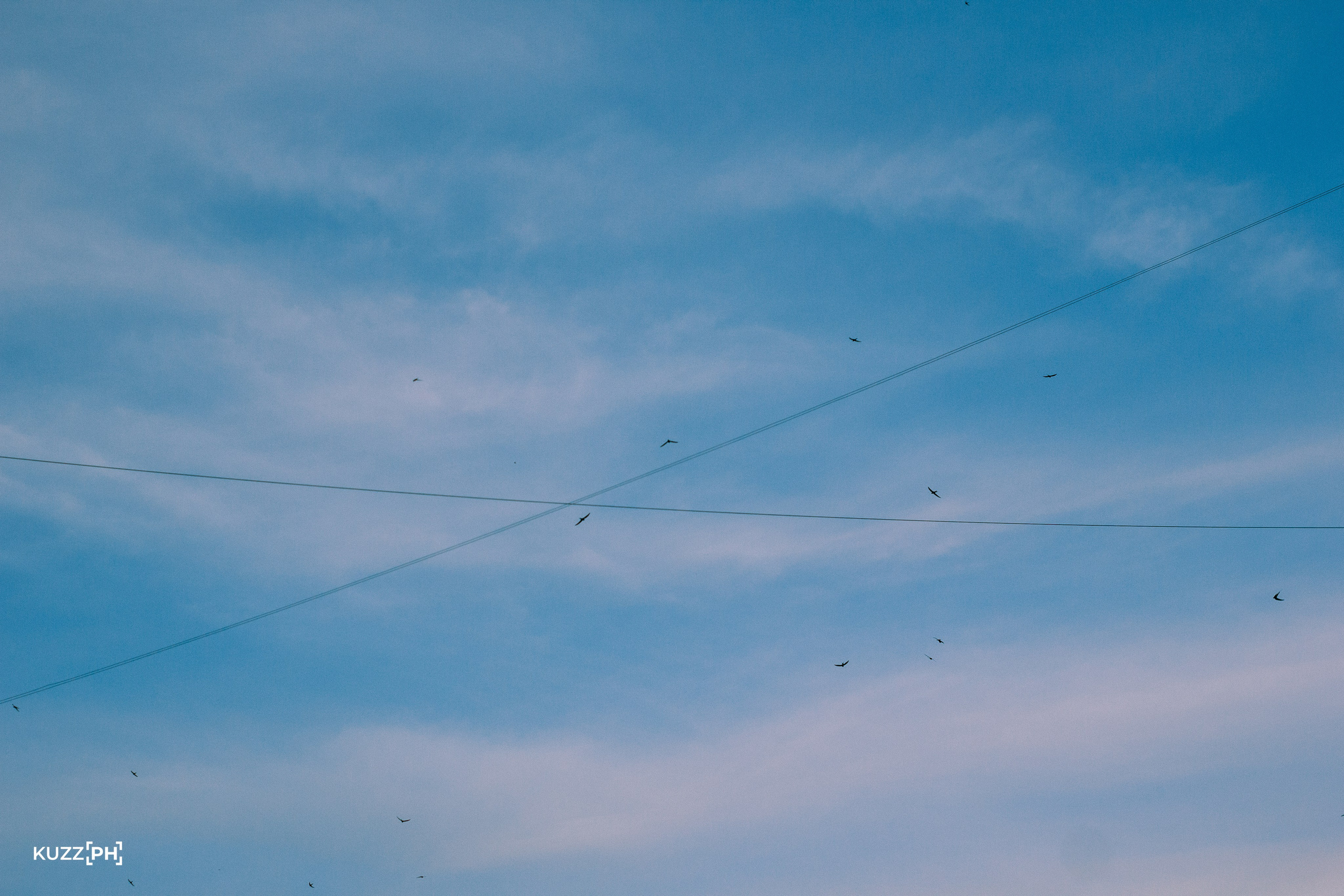 27.07.2024 | Красноярск. Kuznetsov | Фотограф в Красноярске