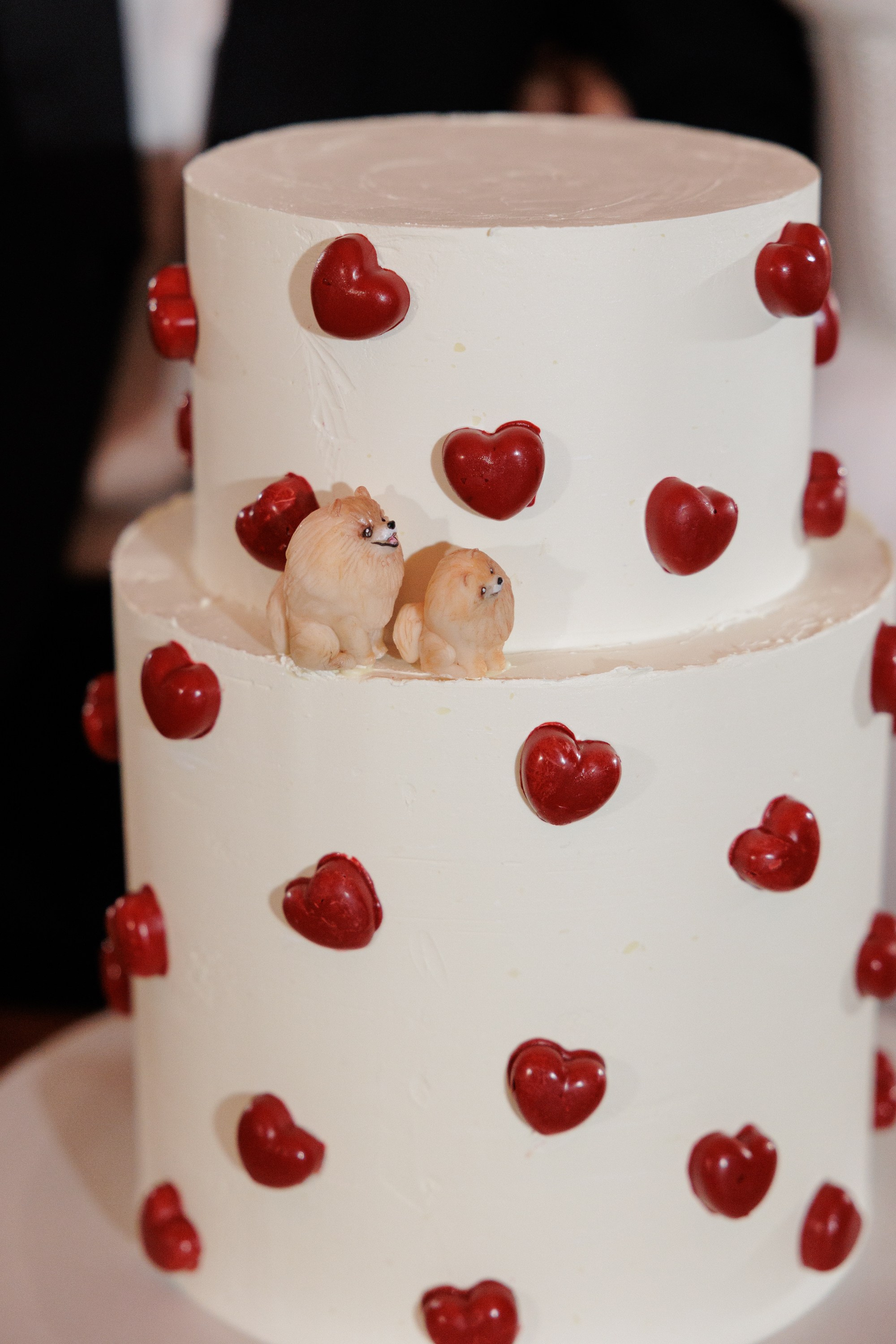 Дмитрий и Алёна. Свадебный фотограф