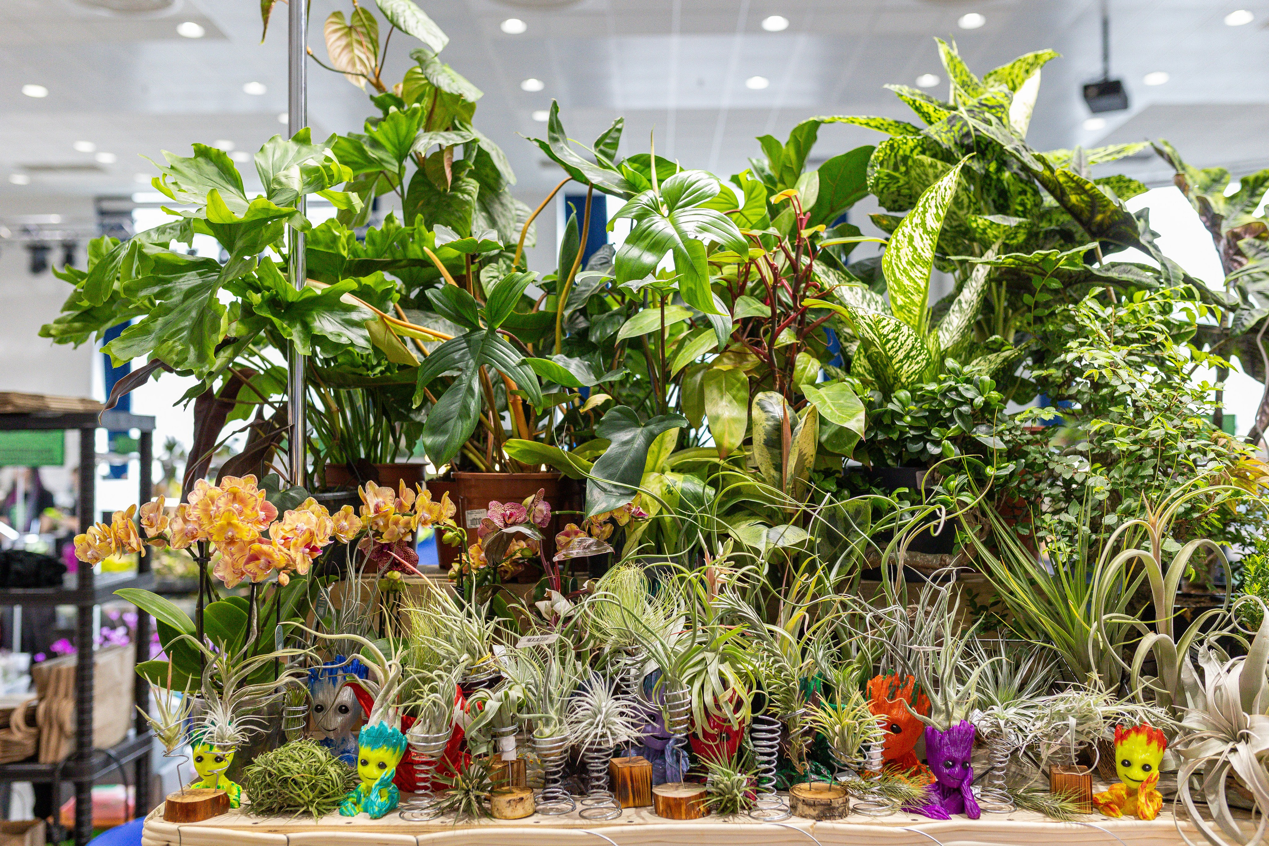 Монстериум апрель 2025. Александра Куликова фотограф, Москва