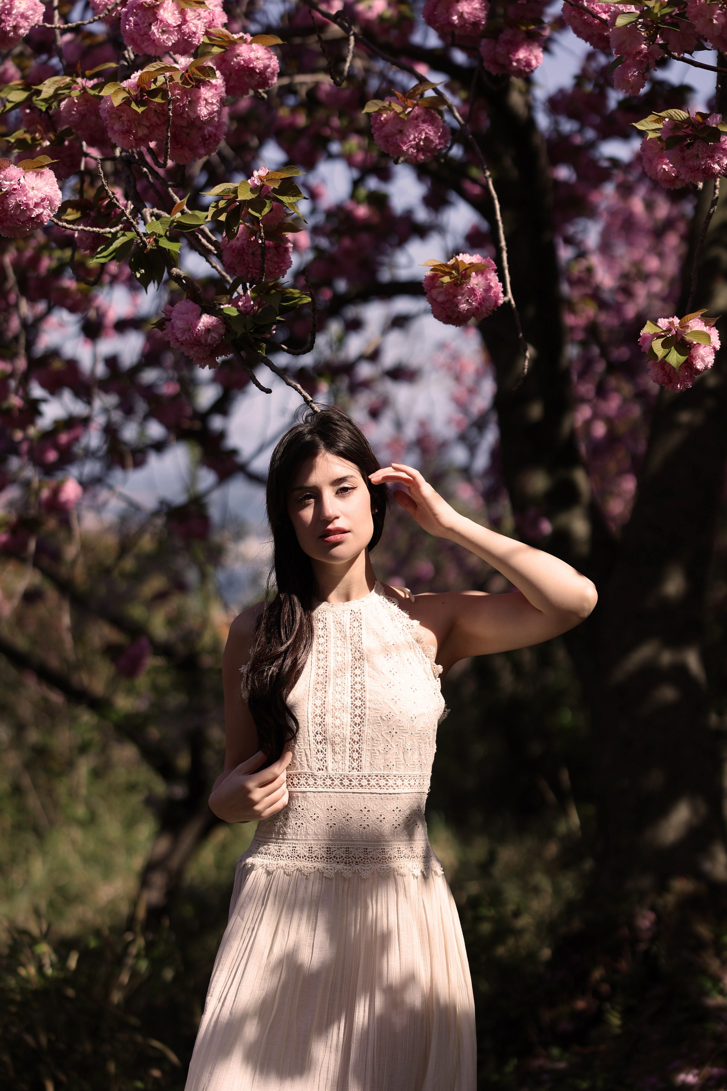 Busan Photographer. Photographer in Busan | Royal Cherry Blossom Solo Photoshoot