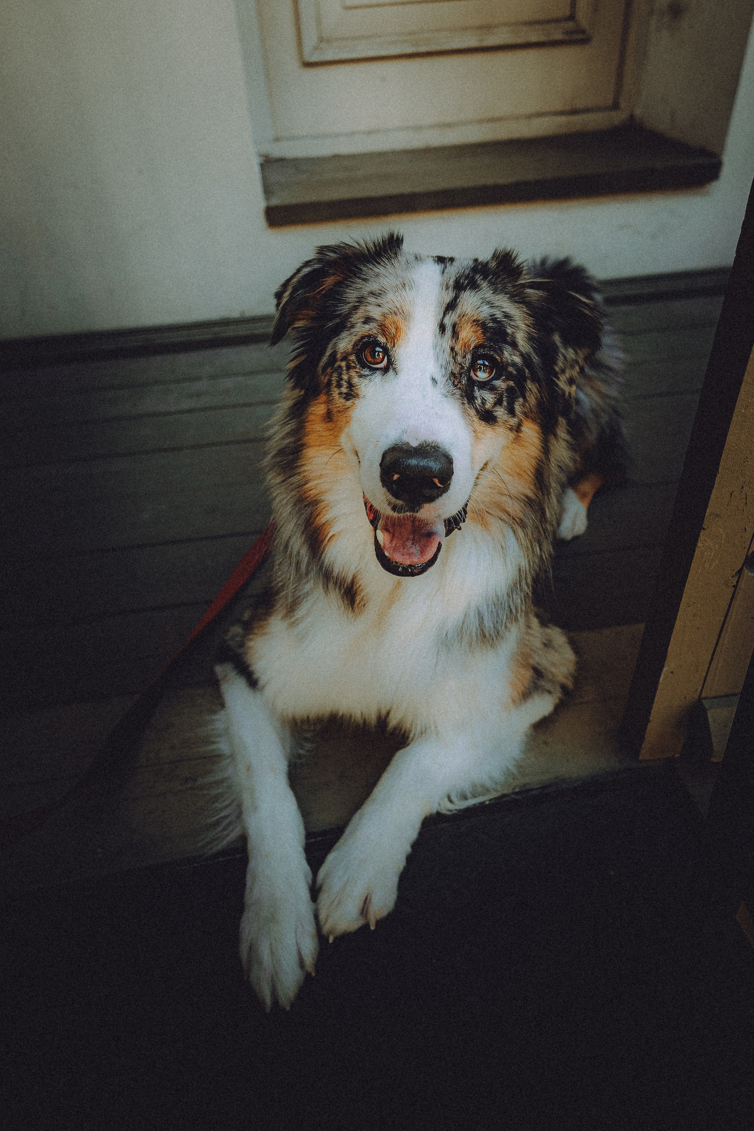 Саша, Рома и Один