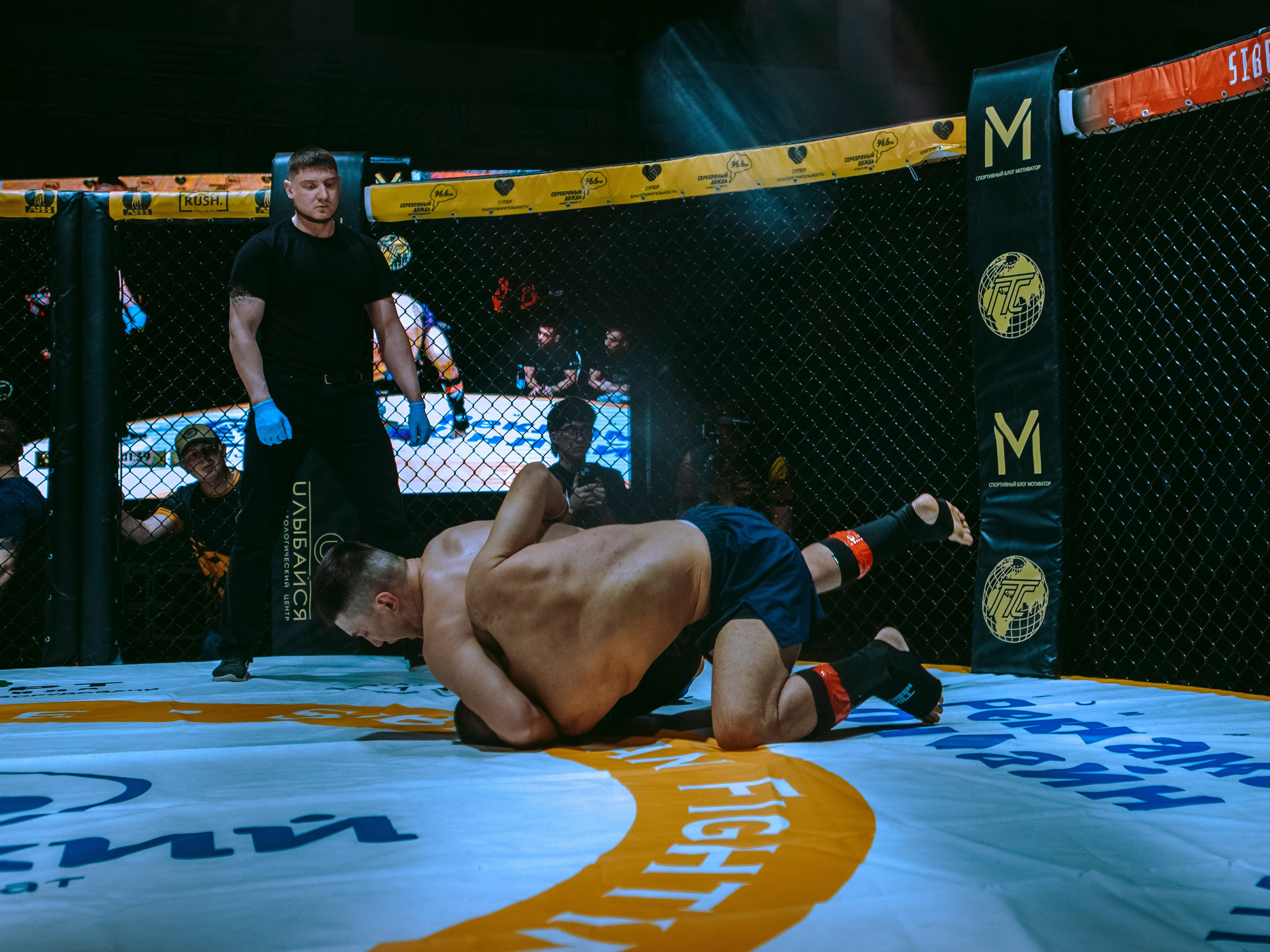 SFL 17 | Siberian Fighting League. Портретный фотограф в Москве Дарья Цезария