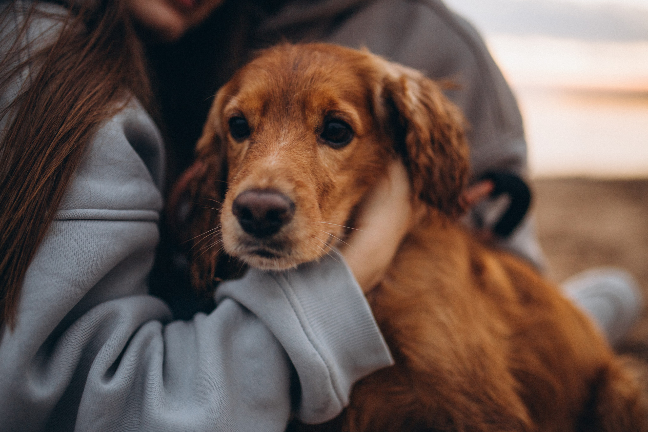 Кристина & Женя. Фотограф Винокурова Кристина в Санкт-Петербурге