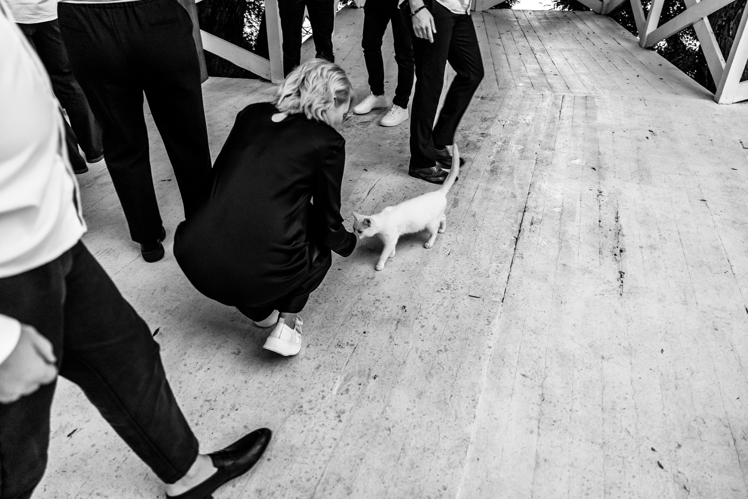 Nikita & Nila. Свадебный фотограф в Москве Виктория Арехова