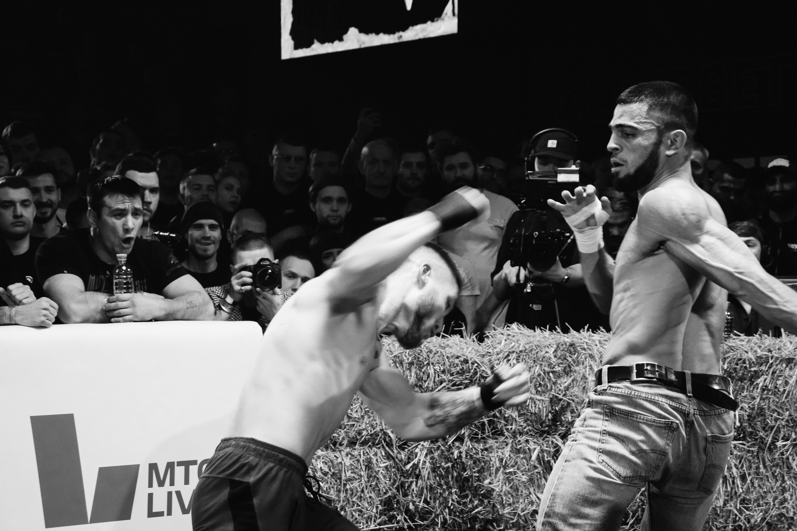 Кулачные бои TopDog. Анастасия Тен