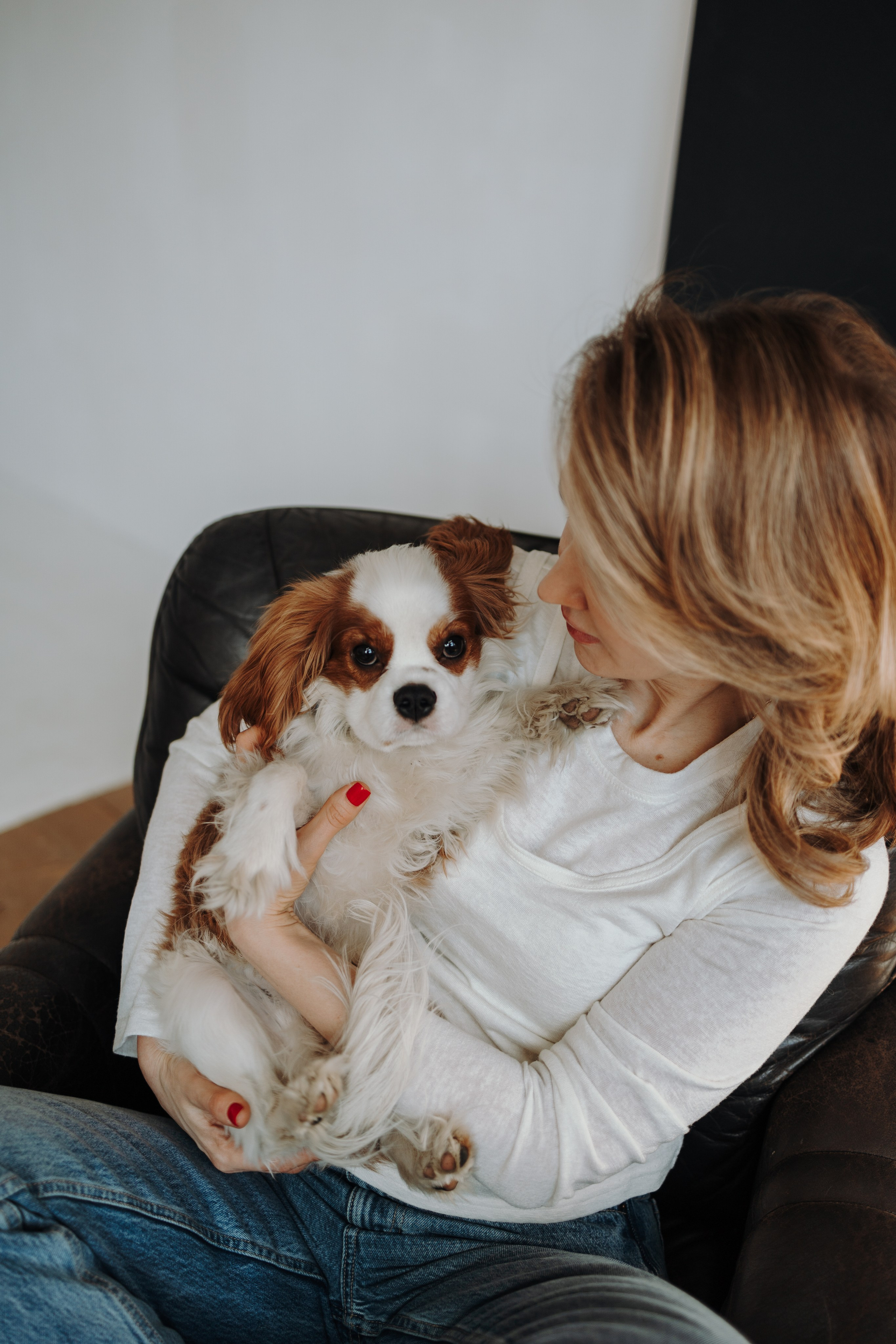 Плуто и его семья. Фотограф — Анималист | Санкт-Петербург