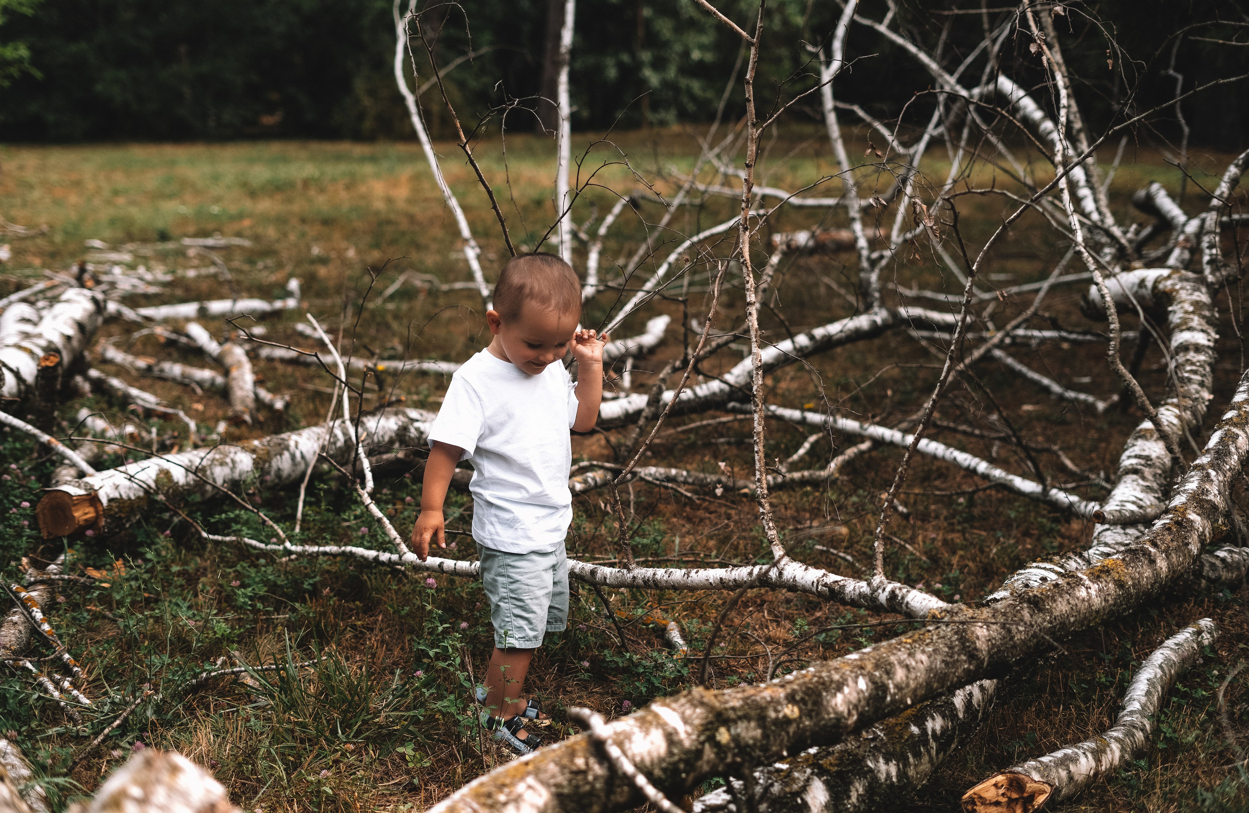 Дендрарий. Свадебный и семейный фотограф/видеограф в Краснодаре Наталья Осинская