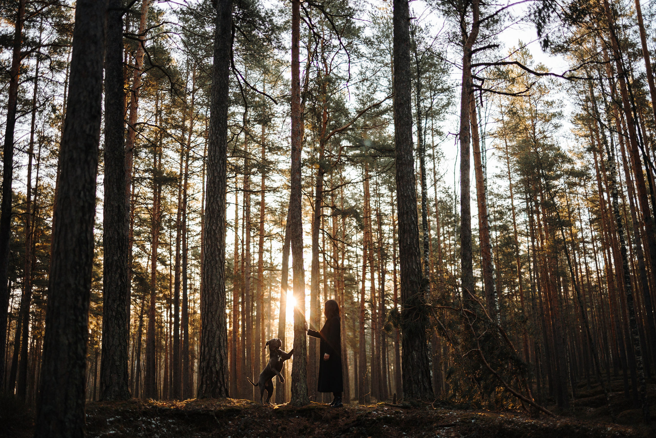 Анна и Лана. Фотограф — Анималист | Санкт-Петербург