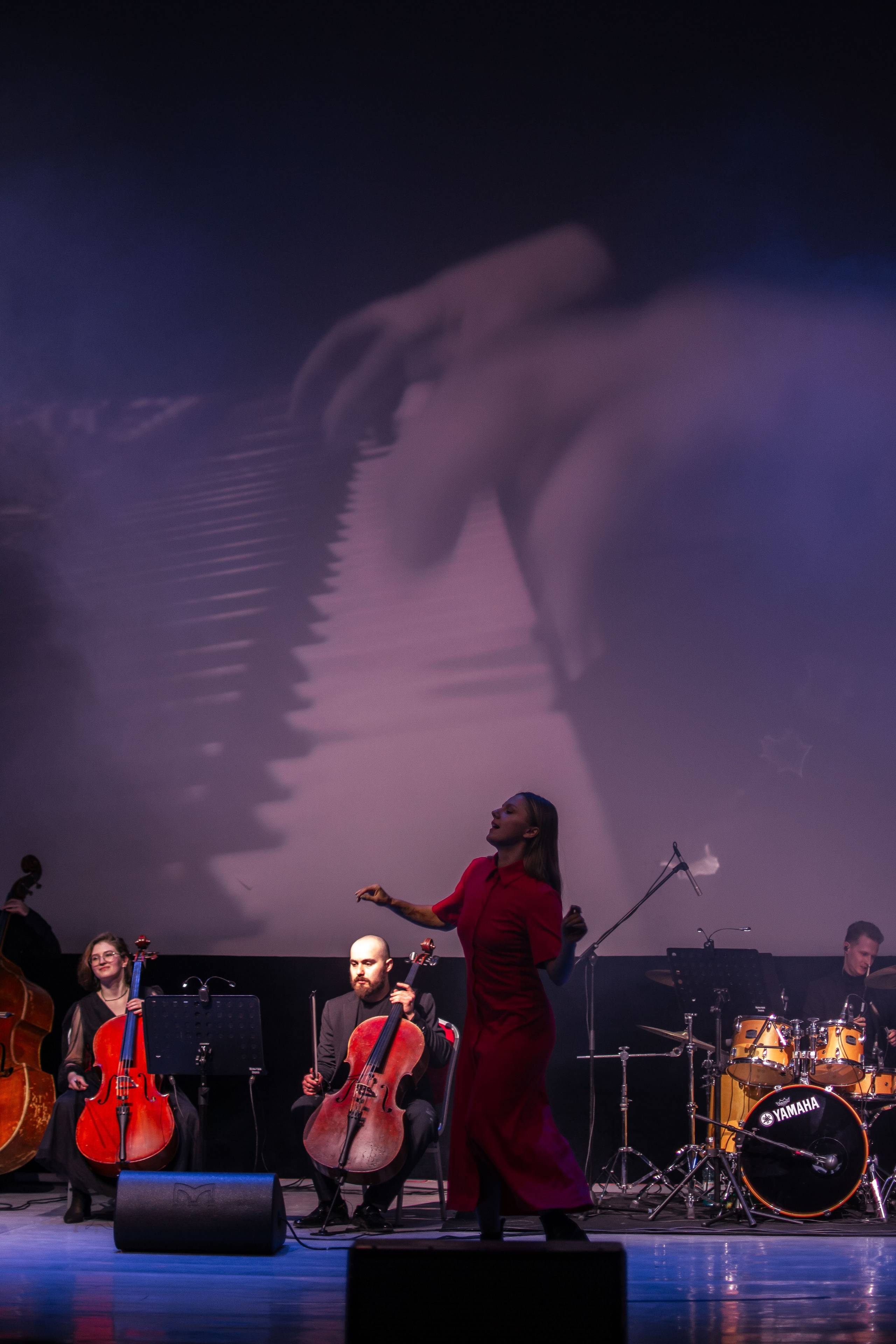 Концерт оркестра Cinematica. Репортажный фотограф в Новосибирске