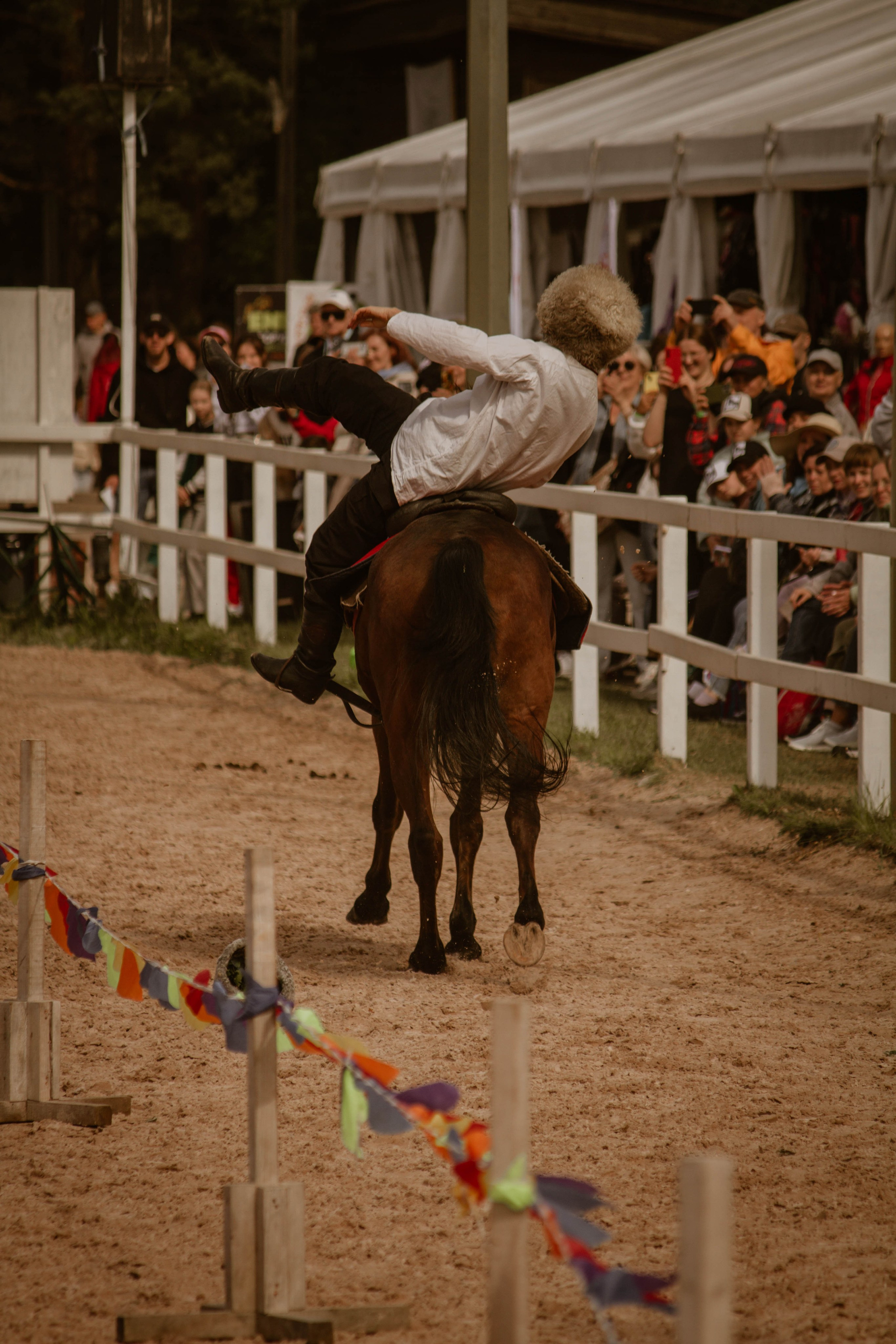 ИППОСФЕРА — Международная конная выставка. Создадим шедевр? Виталина и её фотоискусство