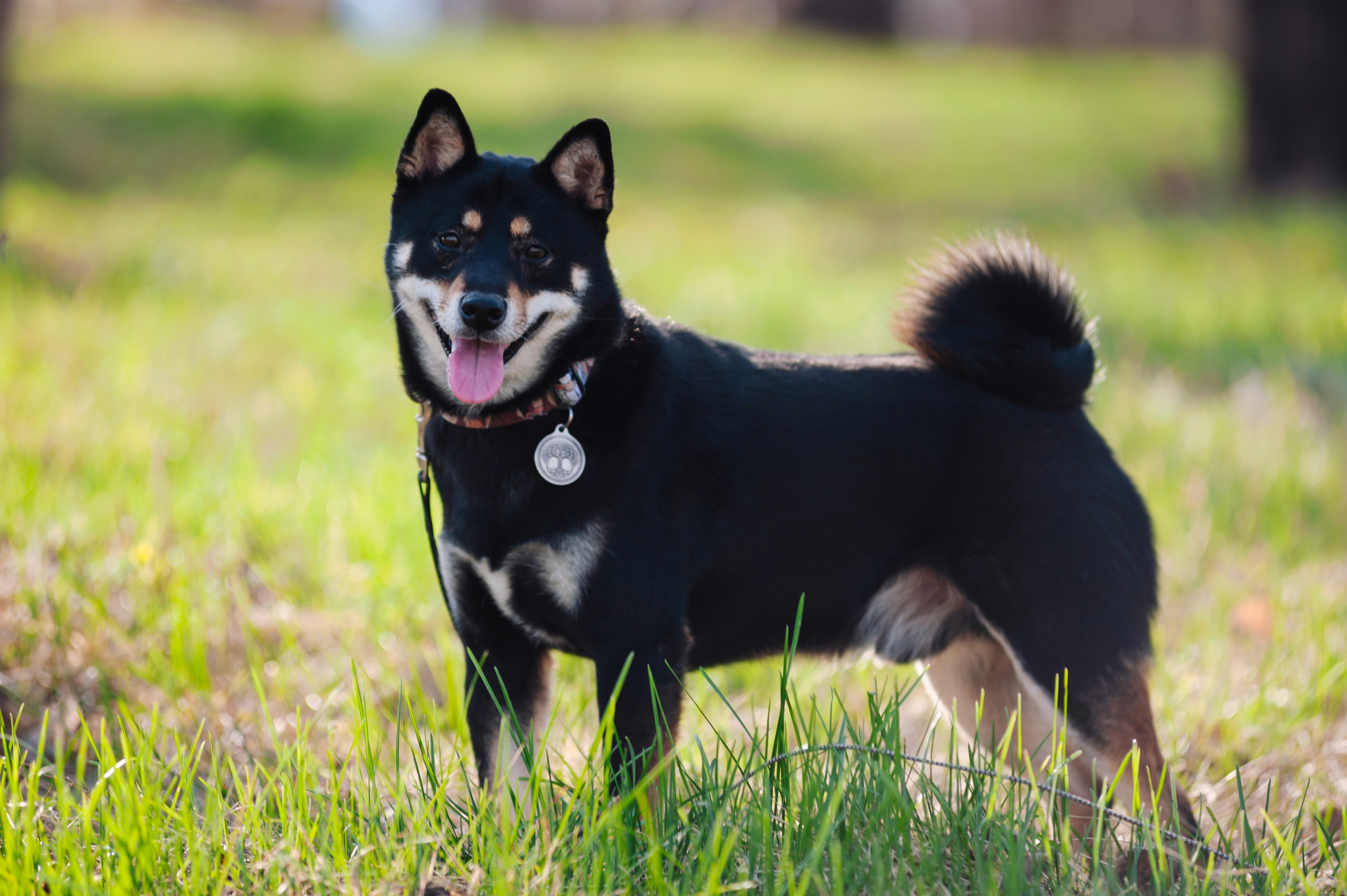 Ксения и Йоши. Фотограф Магнитогорск Данил Семенов