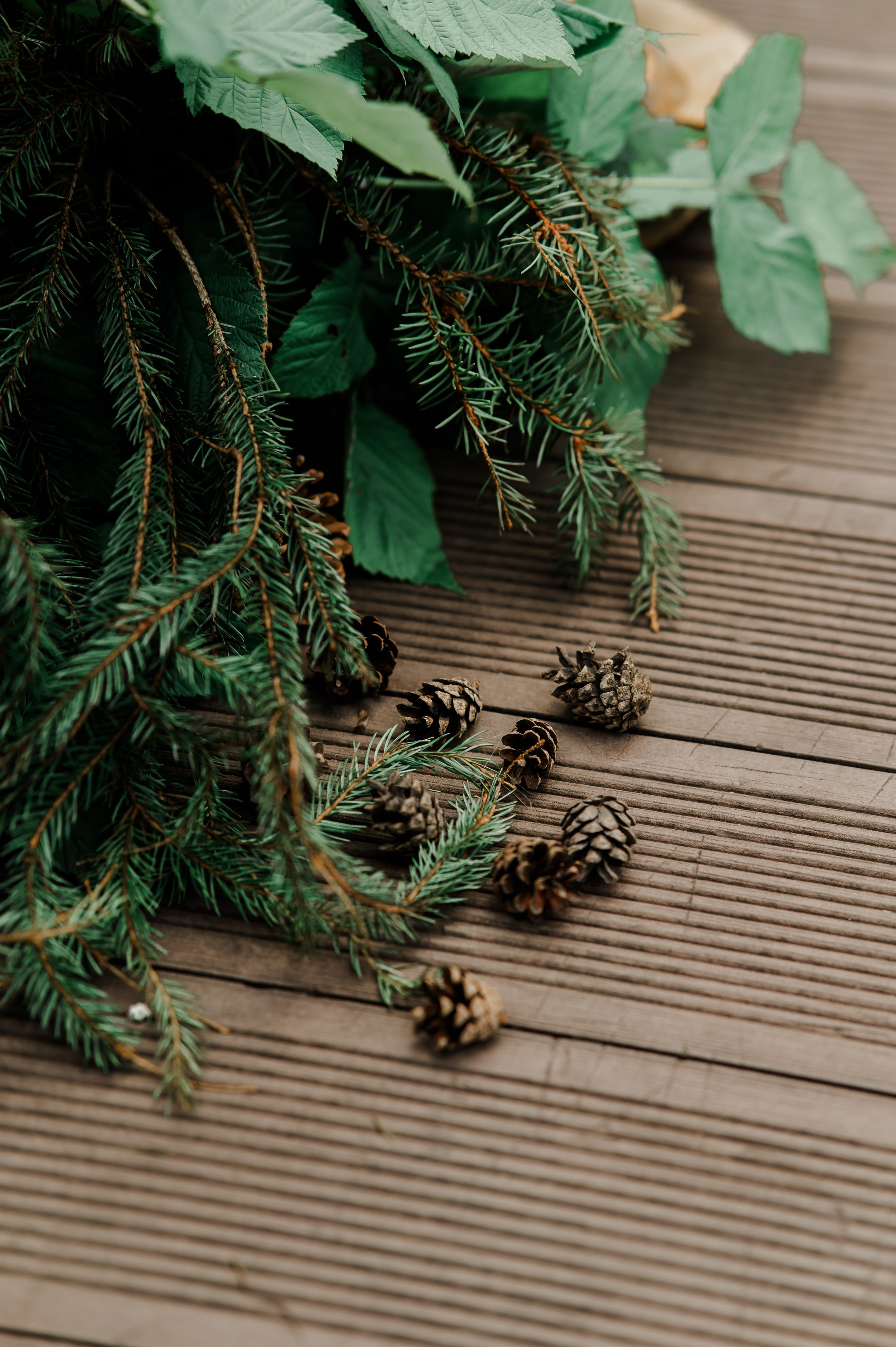 Декор. Свадебный и семейный фотограф Евгения Кононова