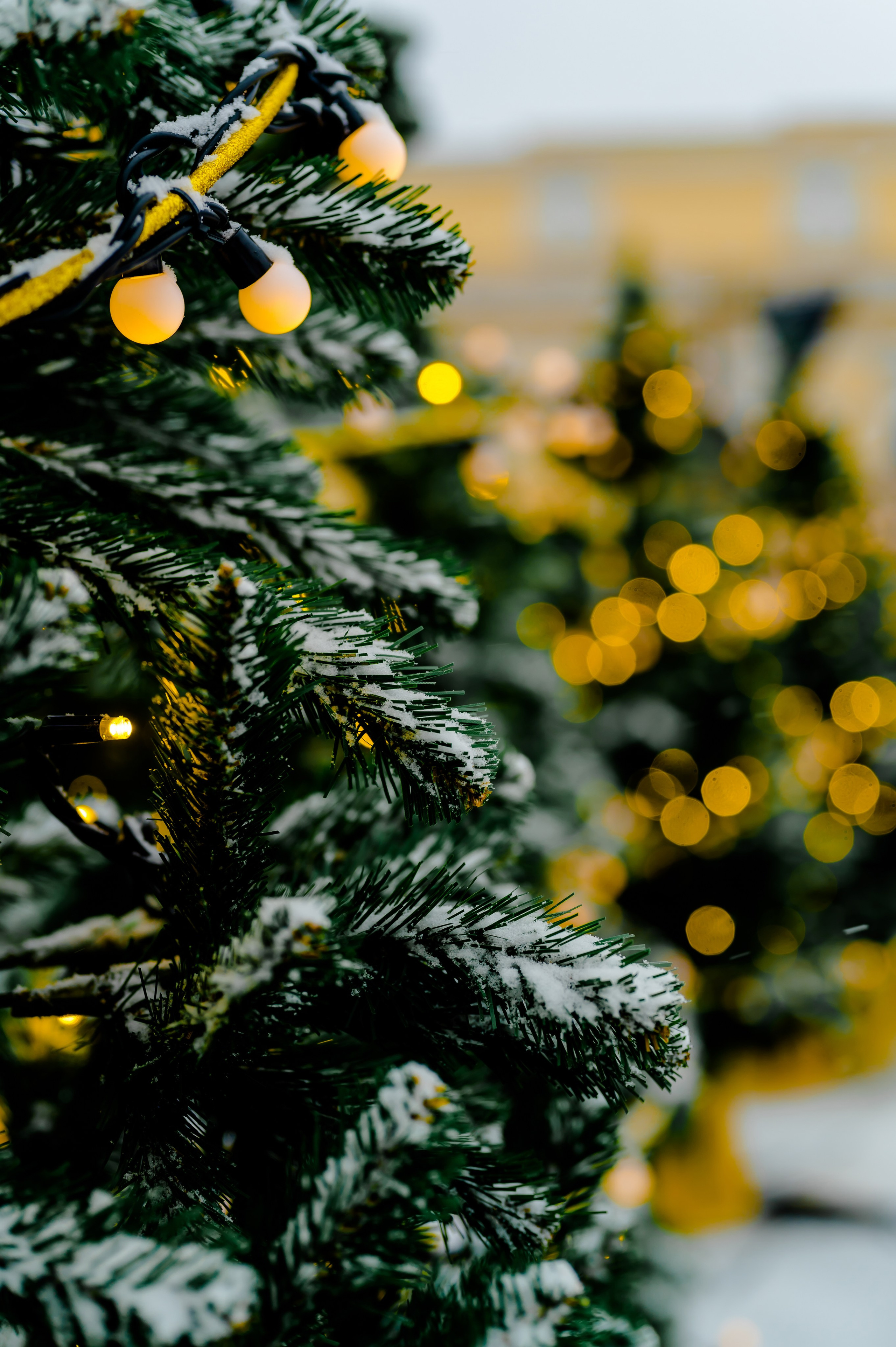 Новогодняя фотосессия на Манежной площади. Свадебный и семейный фотограф Евгения Кононова