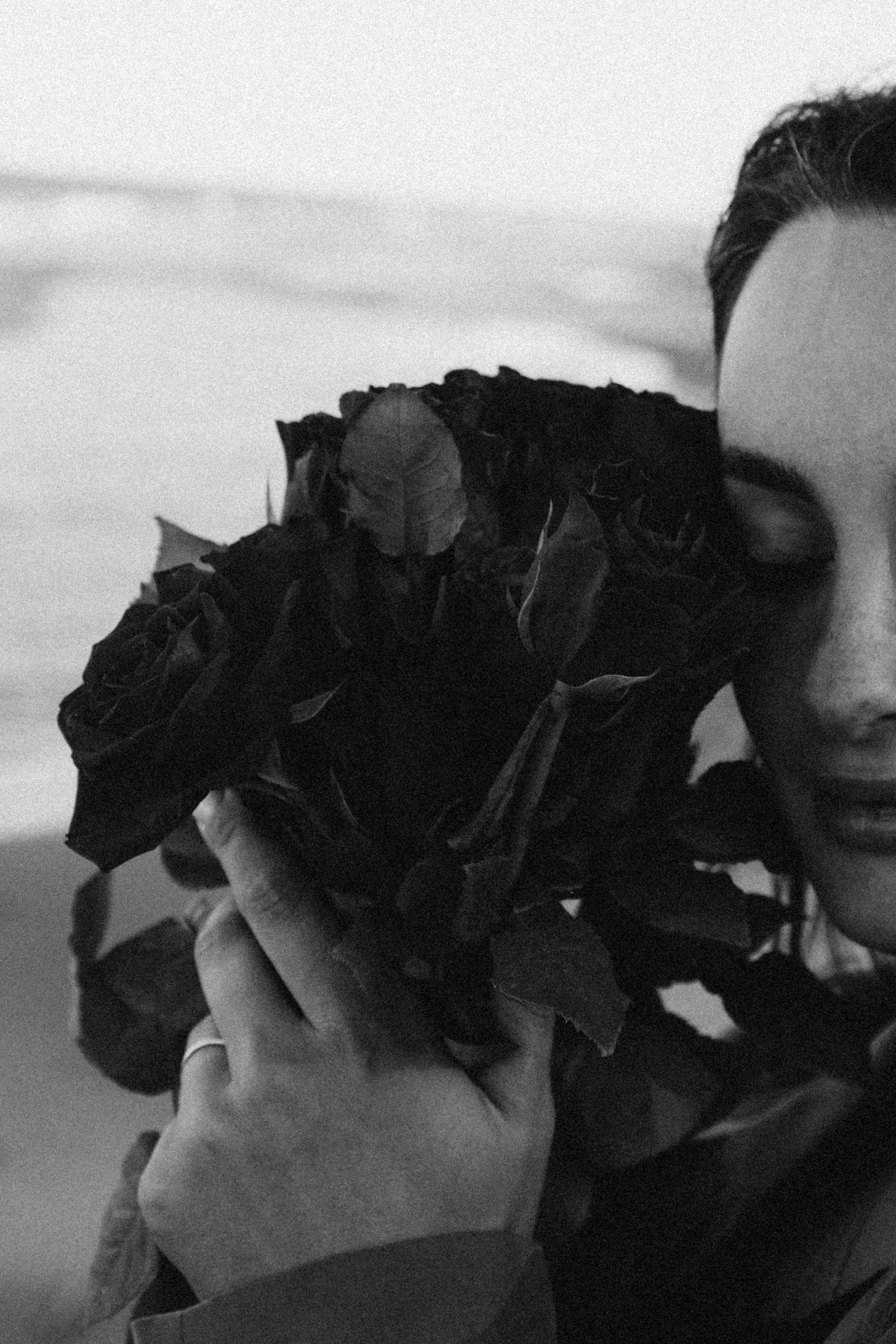 Розы. Профессиональный фотограф, Санкт-Петербург — Виктория Богомолова