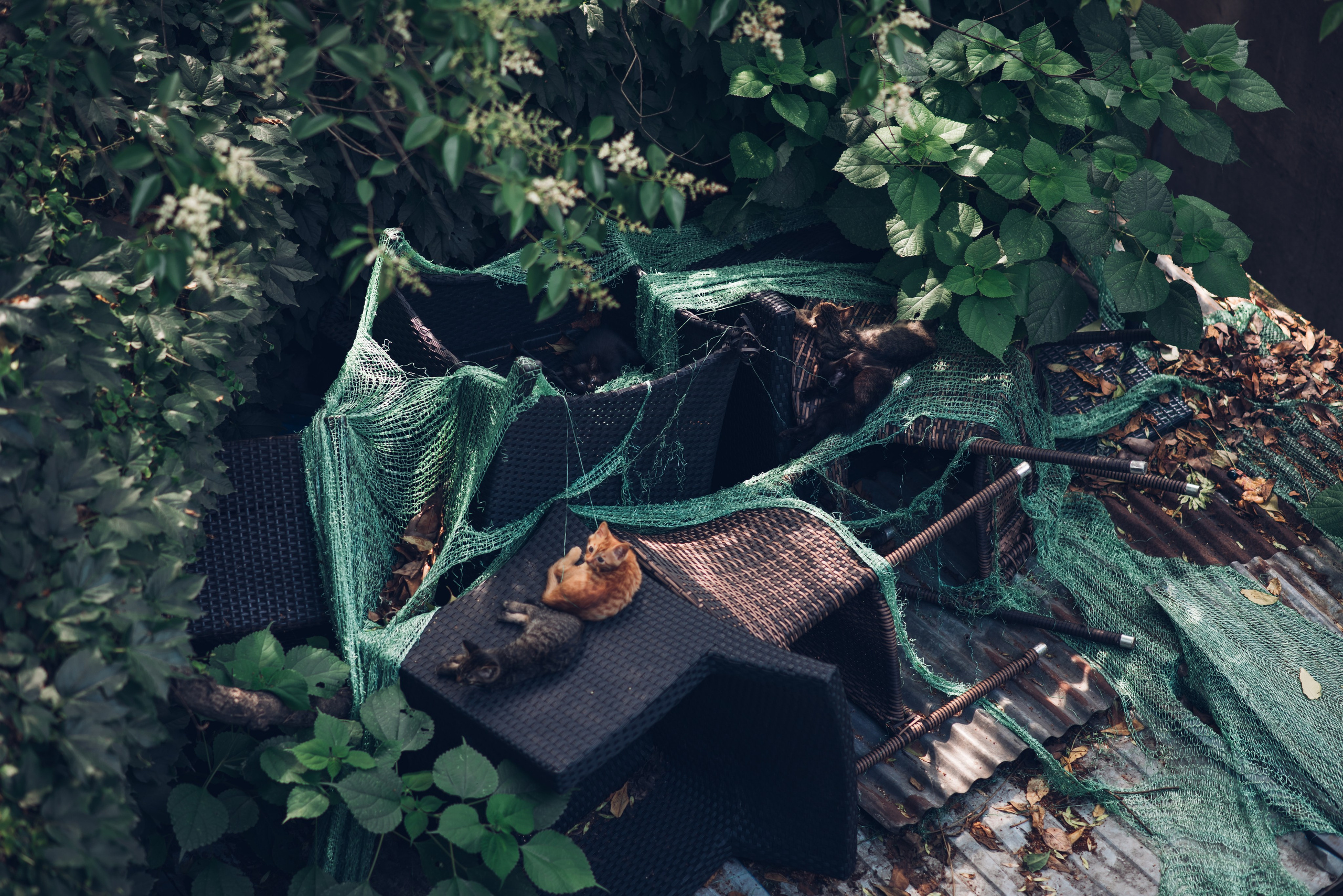 Рекламный фотограф из Гуанчжоу: путешествие по Уханю через объектив камеры. Коммерческий и предметный фотограф в Гуанчжоу Коваленко Александр