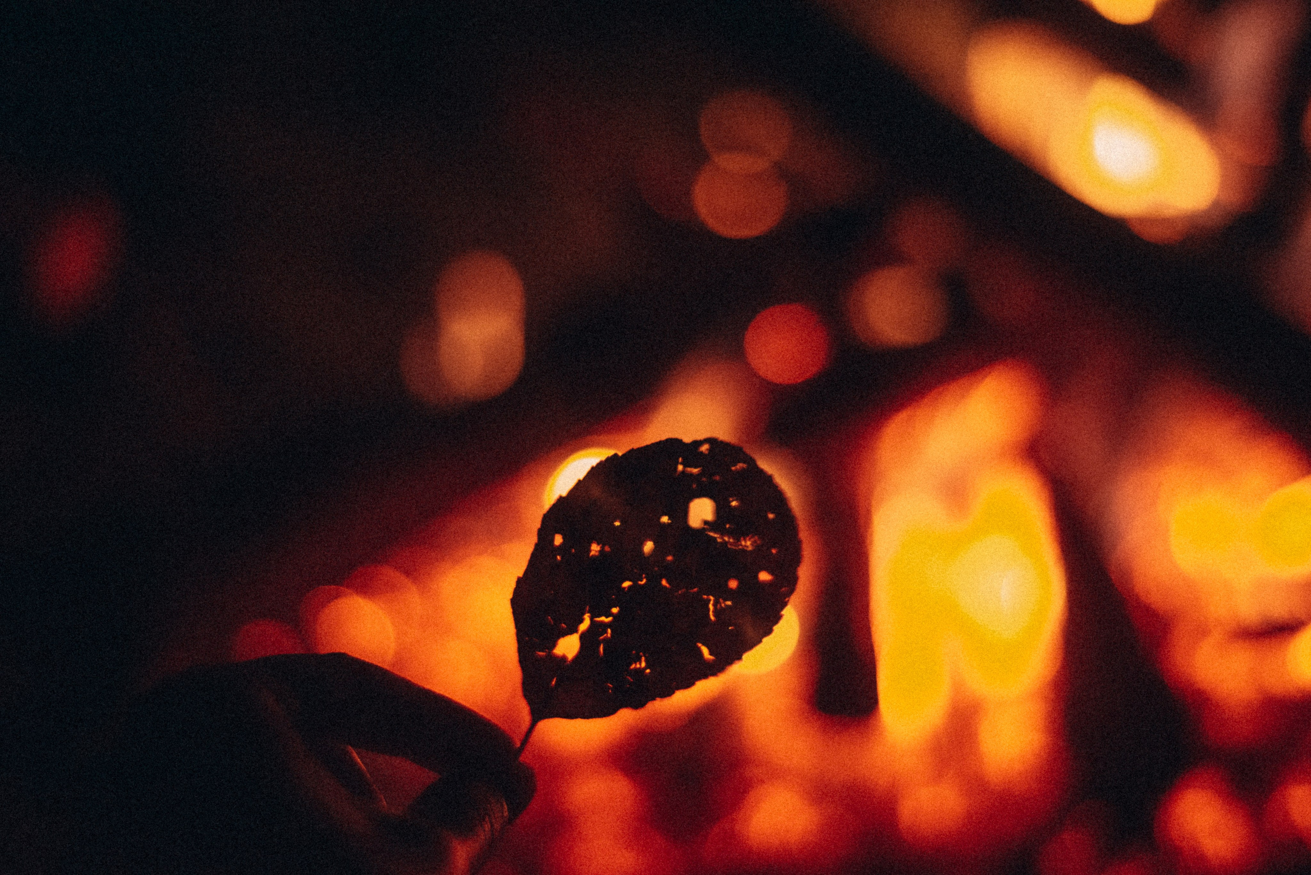 Конный поход 🇬🇪 «PVD Club». Anita_photo