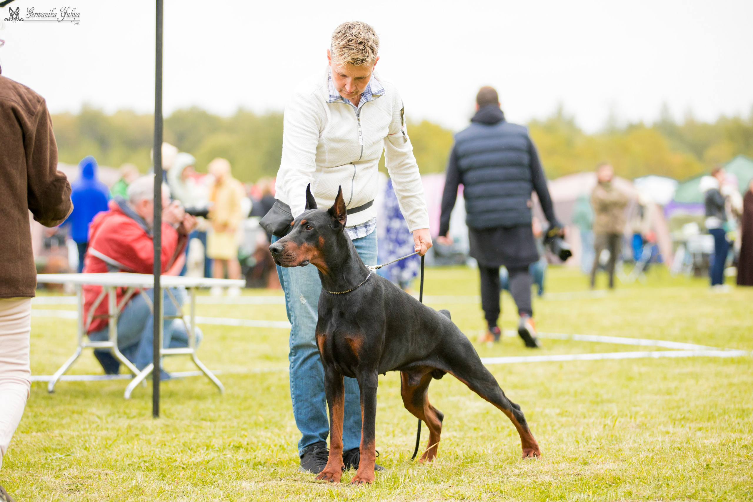 Переславль 9-10.09.2023. Фотограф-анималист Юлия Германика