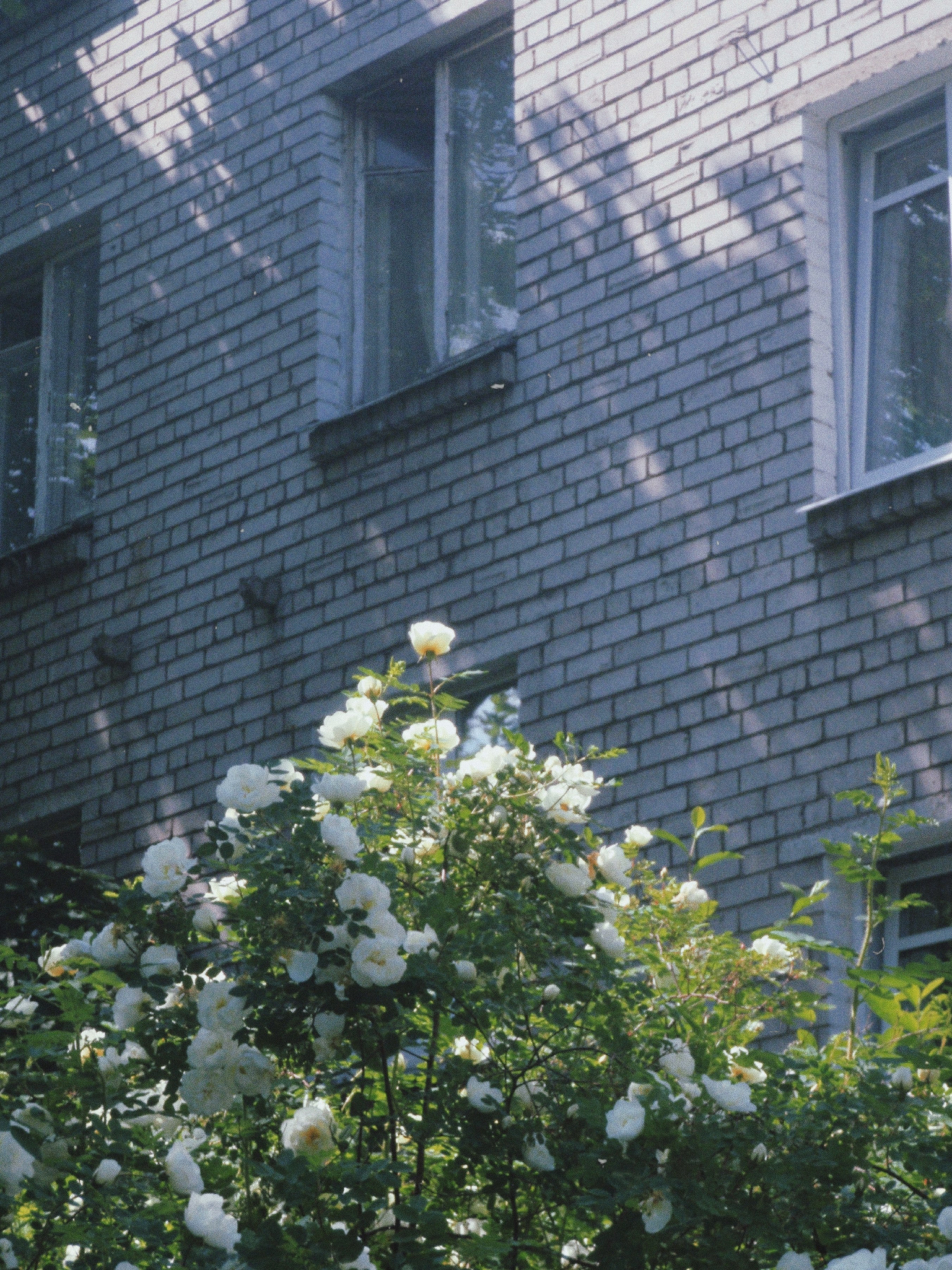 Olimpus mju 1030sw. Анна Мильч