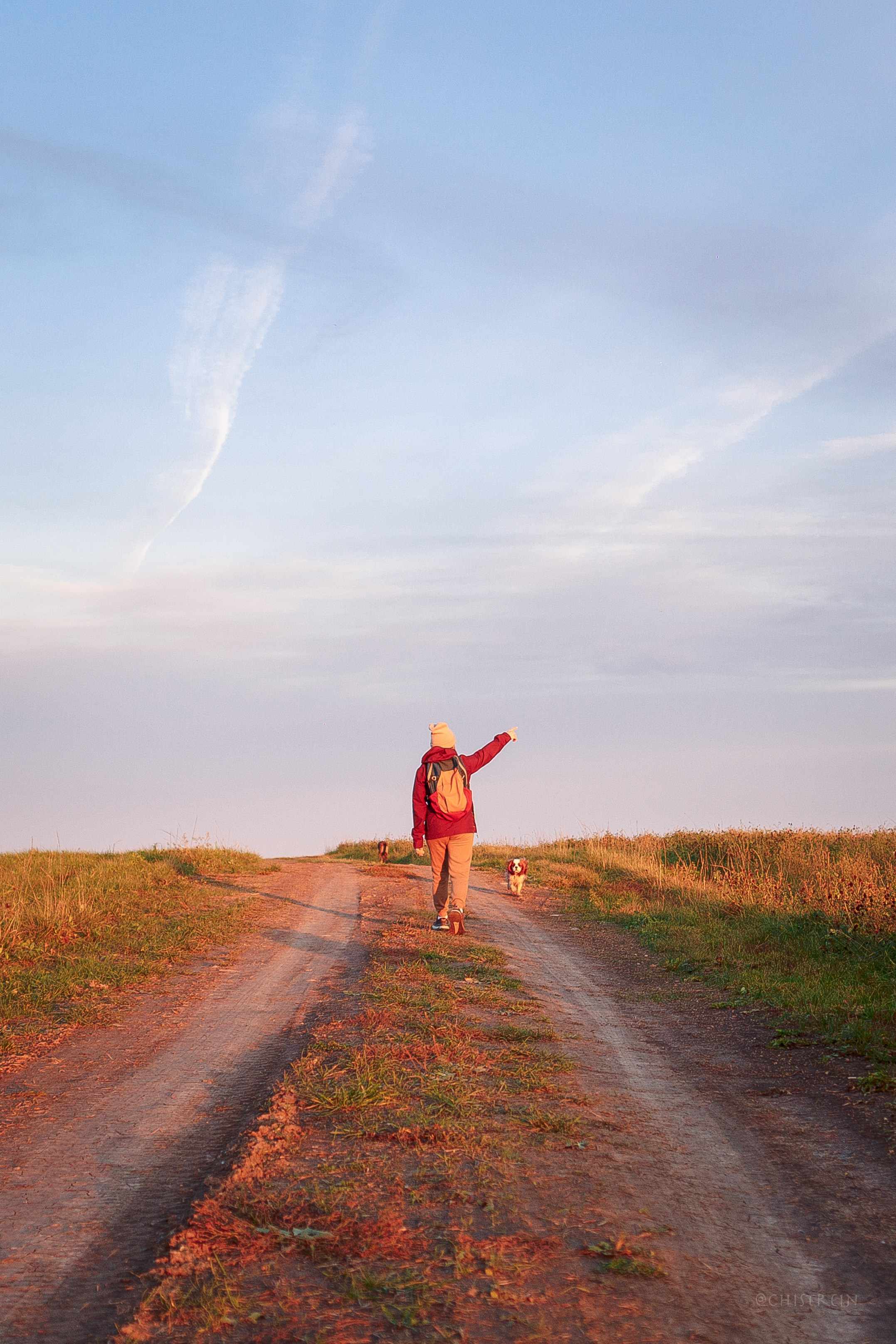 Октябрьский закат в полях. Алина и Лео. Фотограф-анималист Наталия Чистюхина в г. Сосновый Бор и ЛО