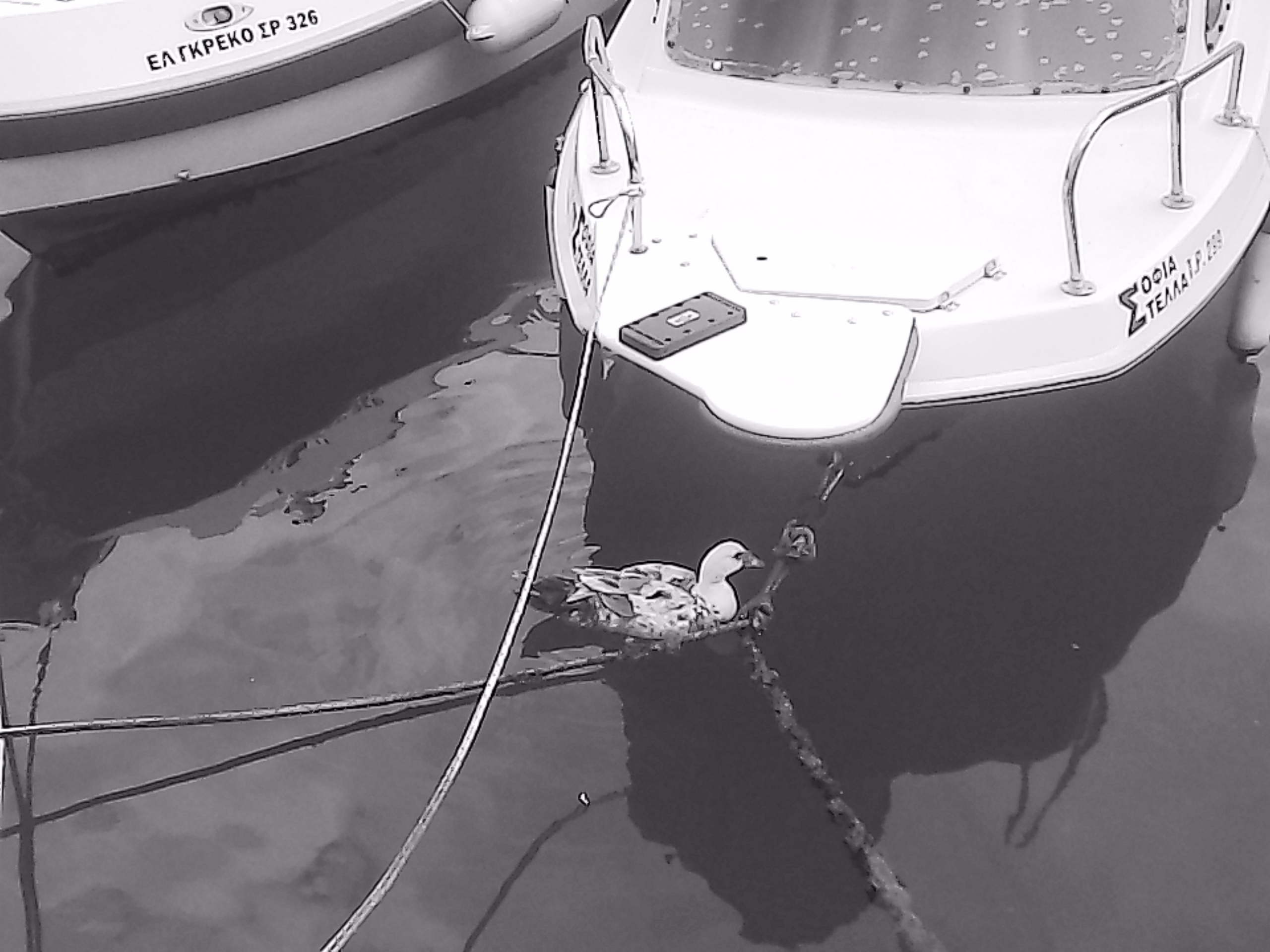 «Крошка 🐣». Anita_photo