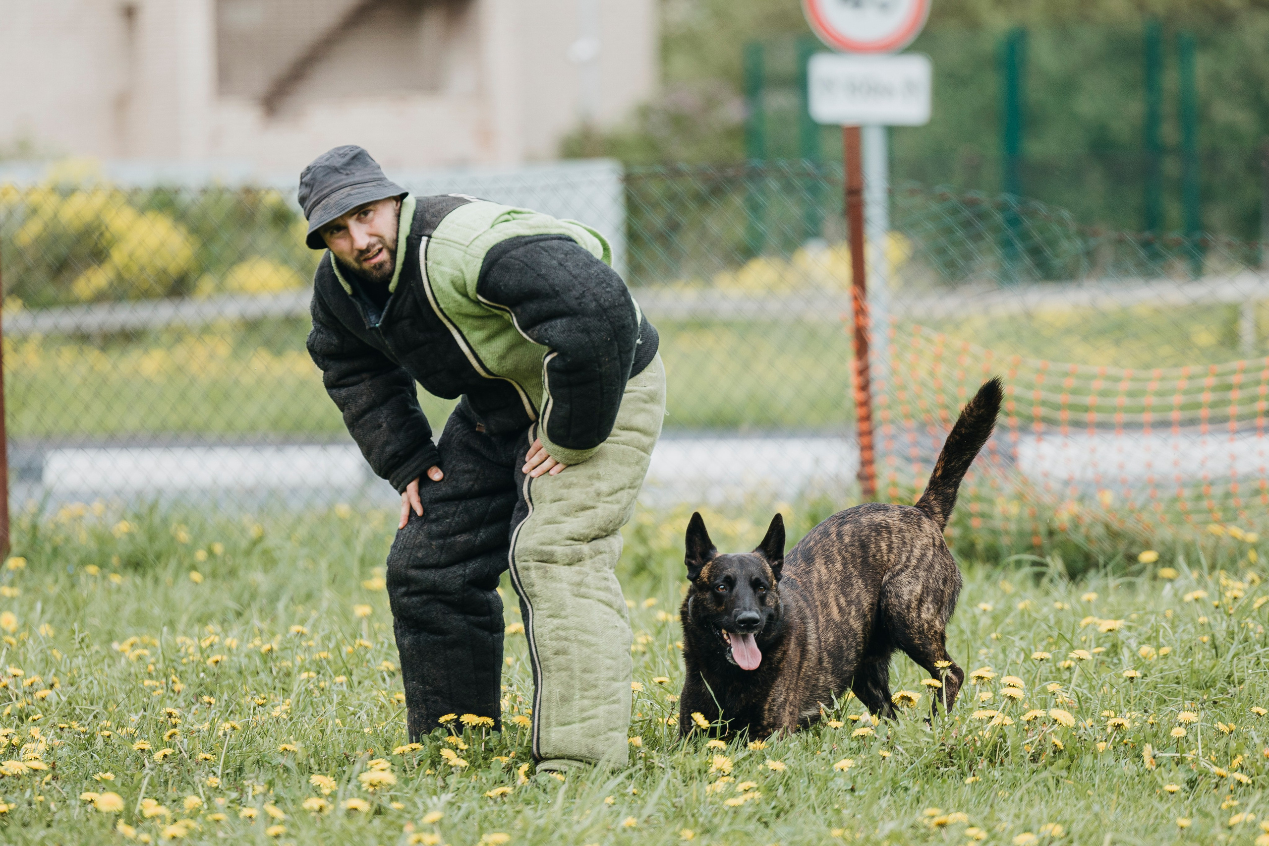 26.05.25 г. Пушкин квалификационные соревнования. Фотограф-анималист Анна Маринич
