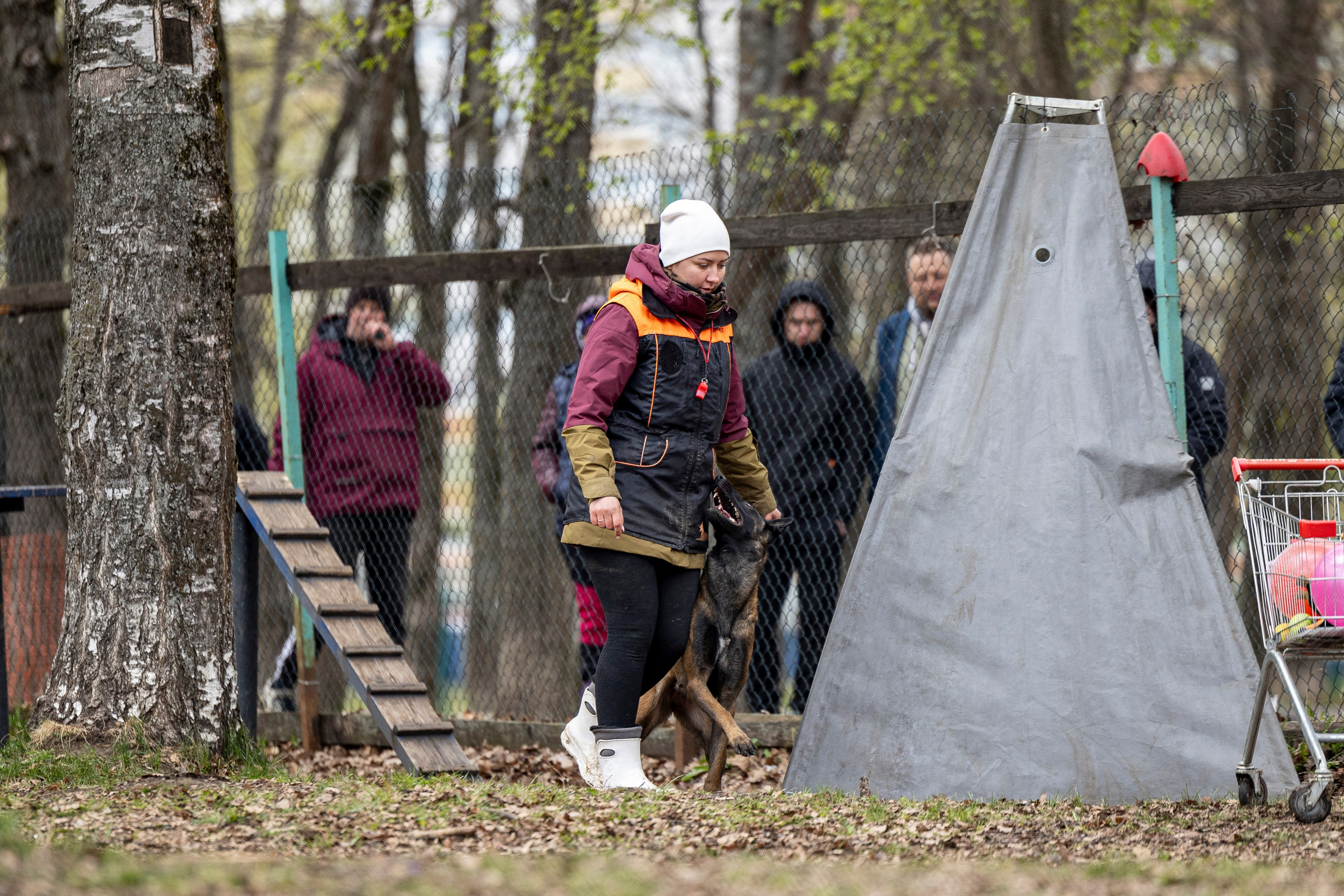Квалификационные состязания по мондьорингу г. Вологда 11.05.24. Фотограф-анималист Анна Маринич