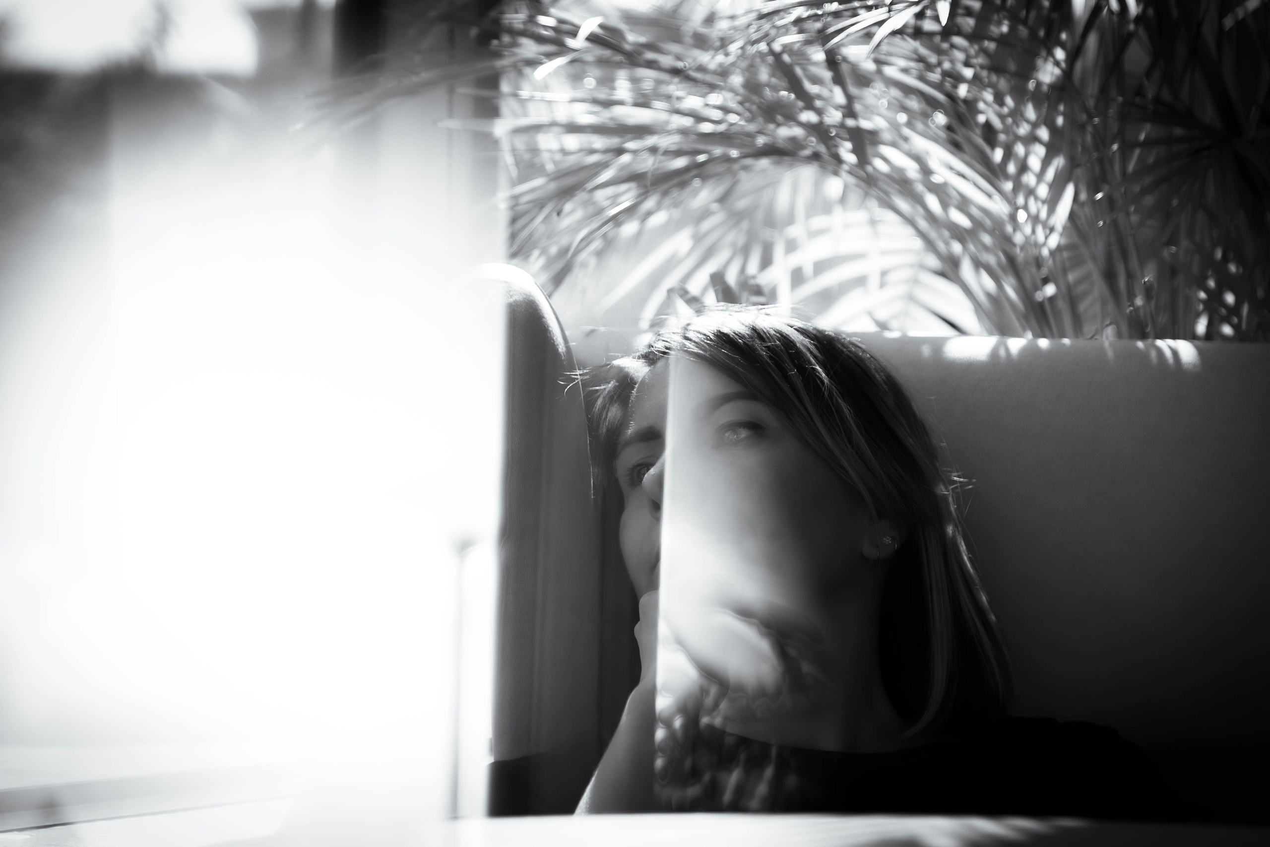 Фотосъёмка, фотосессия, портрет. Фотограф анималист — Тула, Москва