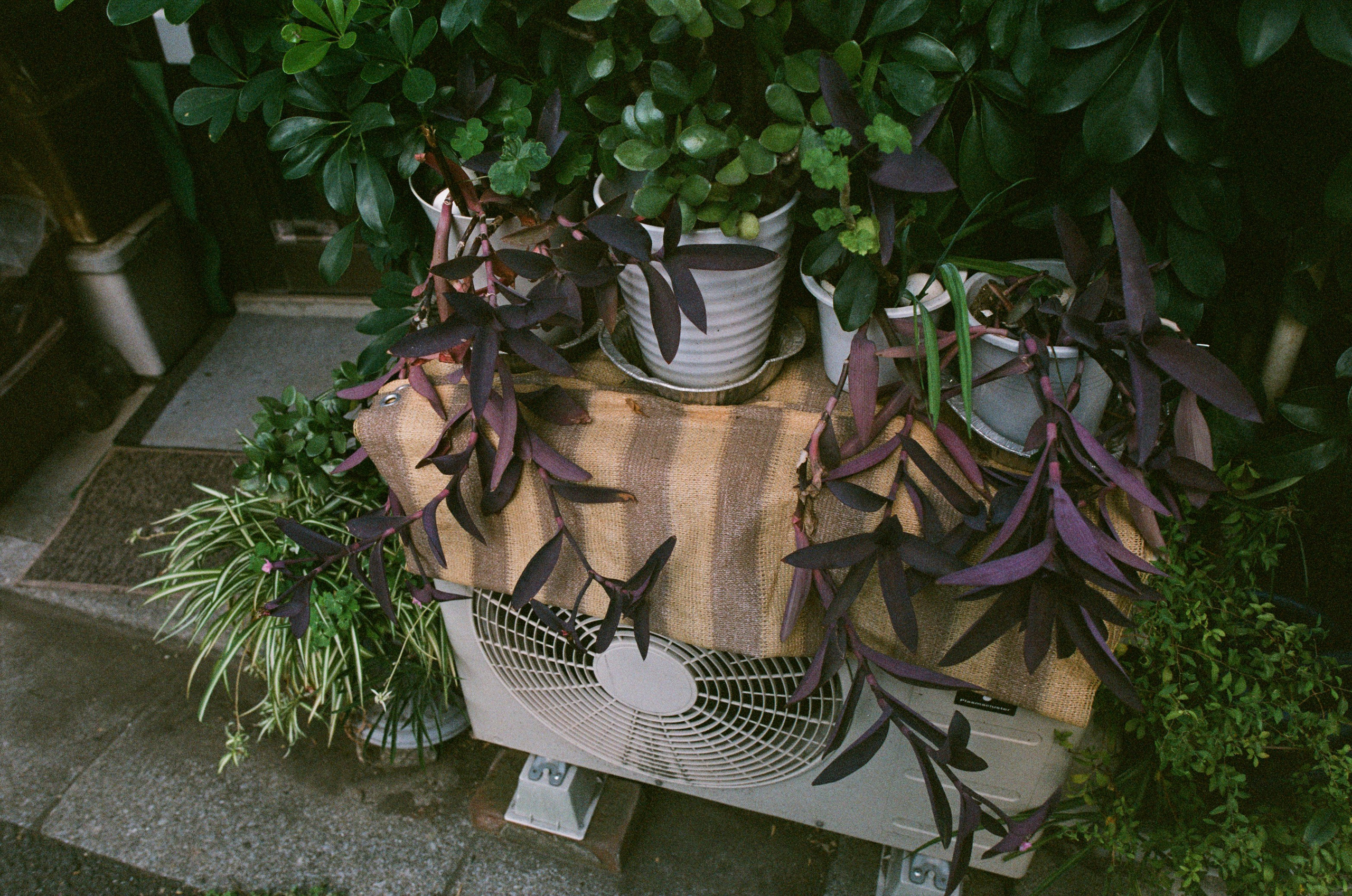 Out of noise // japan, tokyo II. EVER EXPOSED