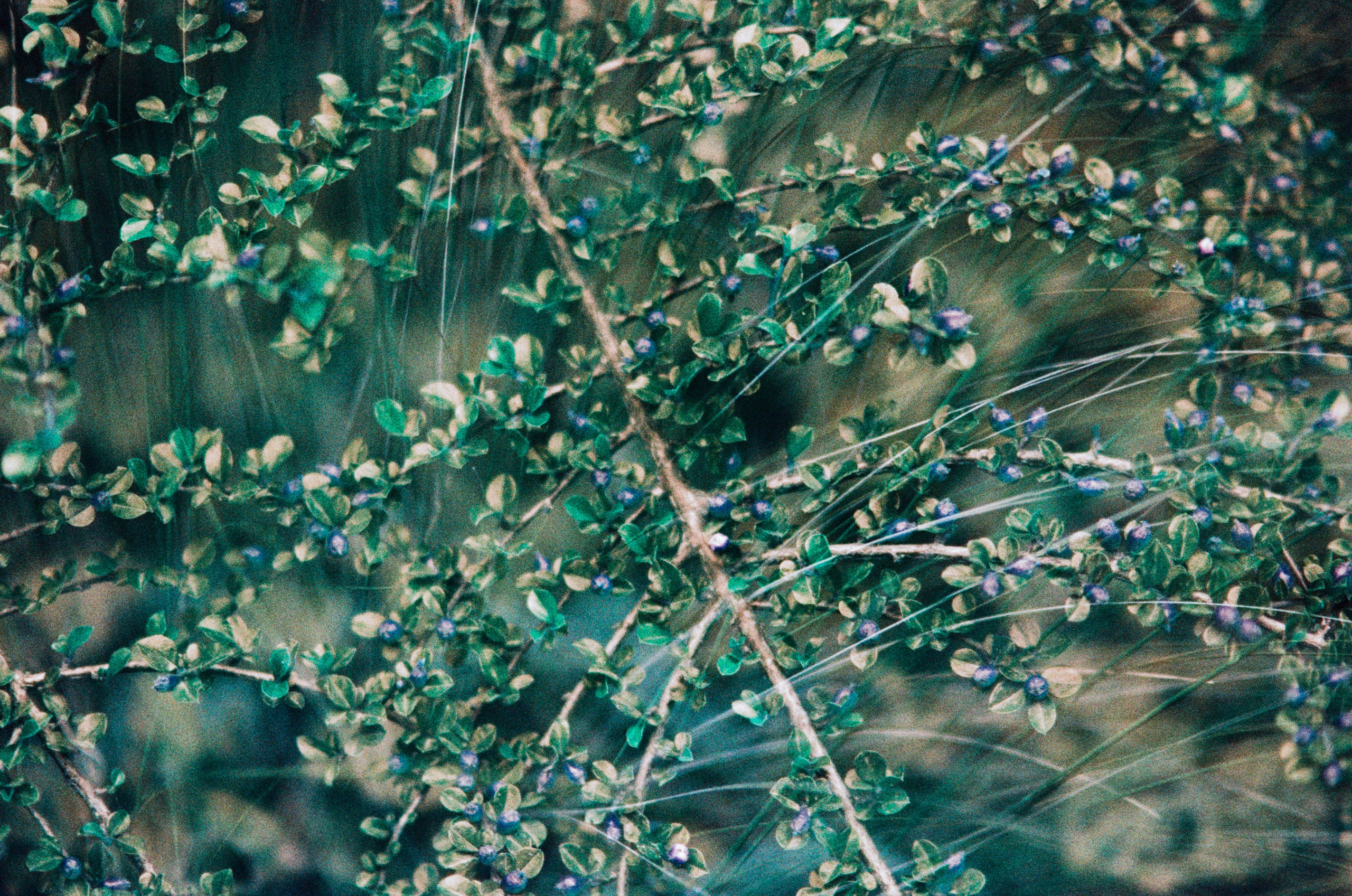 Pain shopping // ukraine, crimea VII. EVER EXPOSED