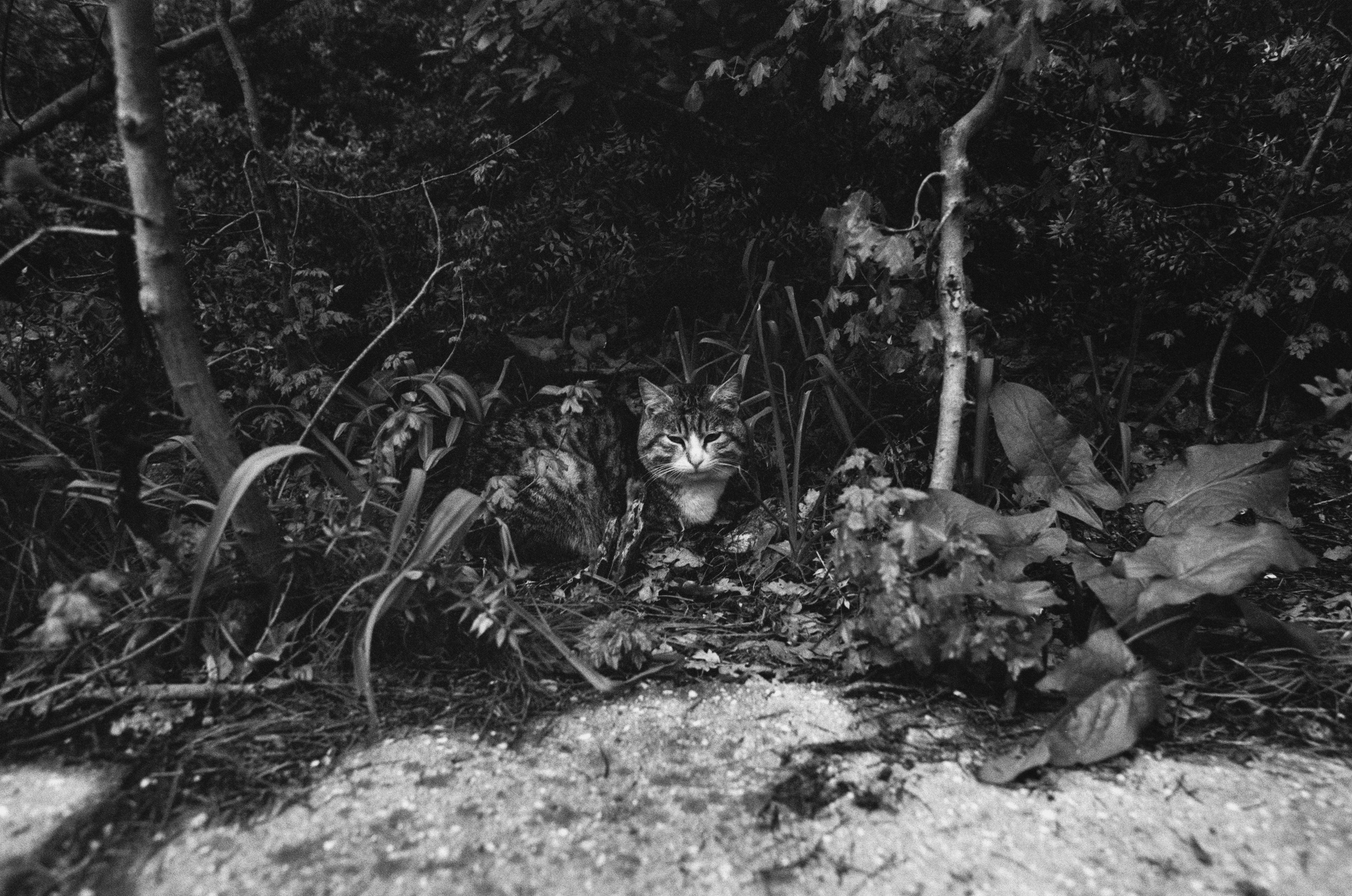 Oblomki chuvstv // ukraine, crimea II. EVER EXPOSED