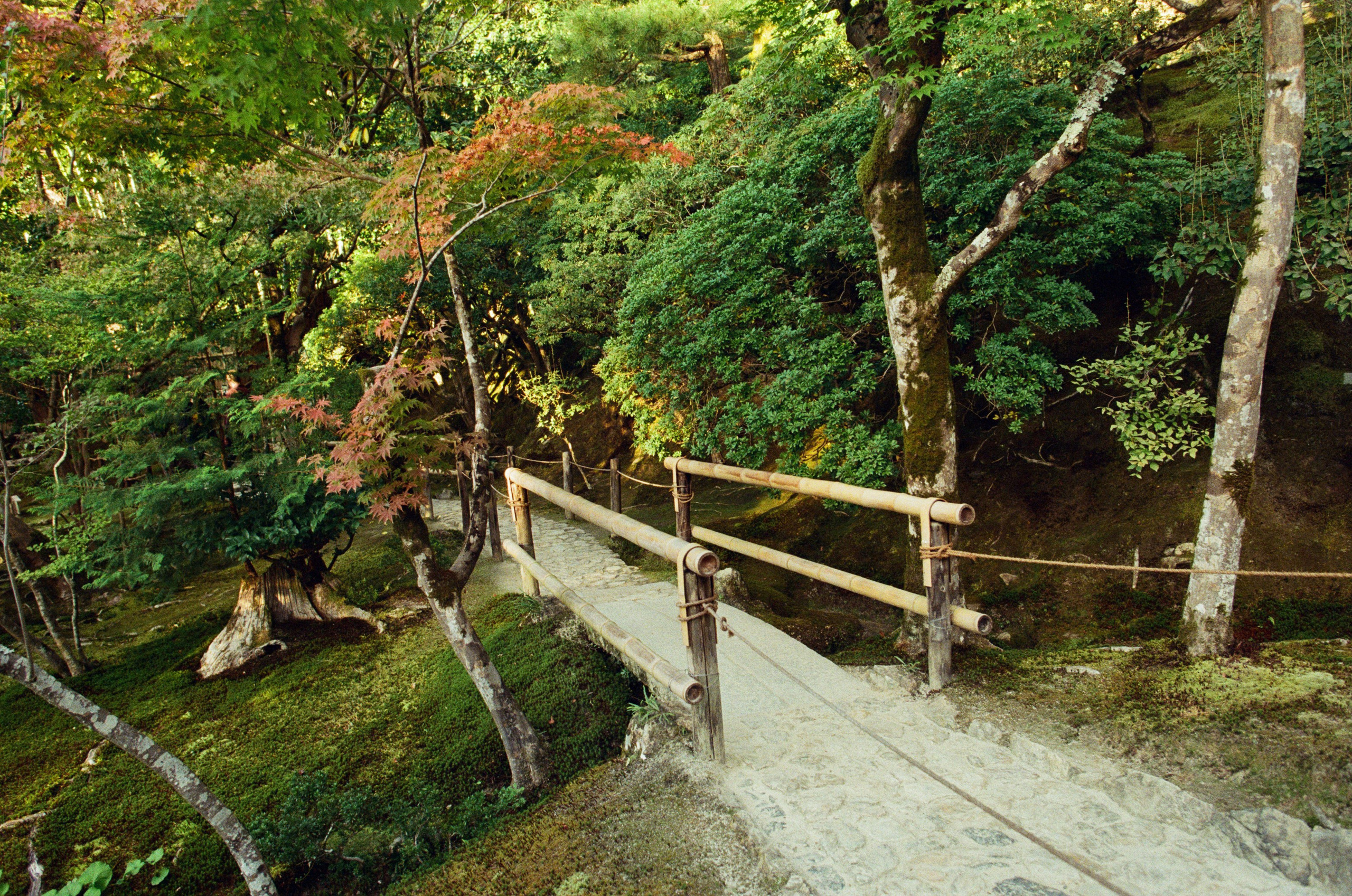 Out of noise // japan, kyoto. EVER EXPOSED
