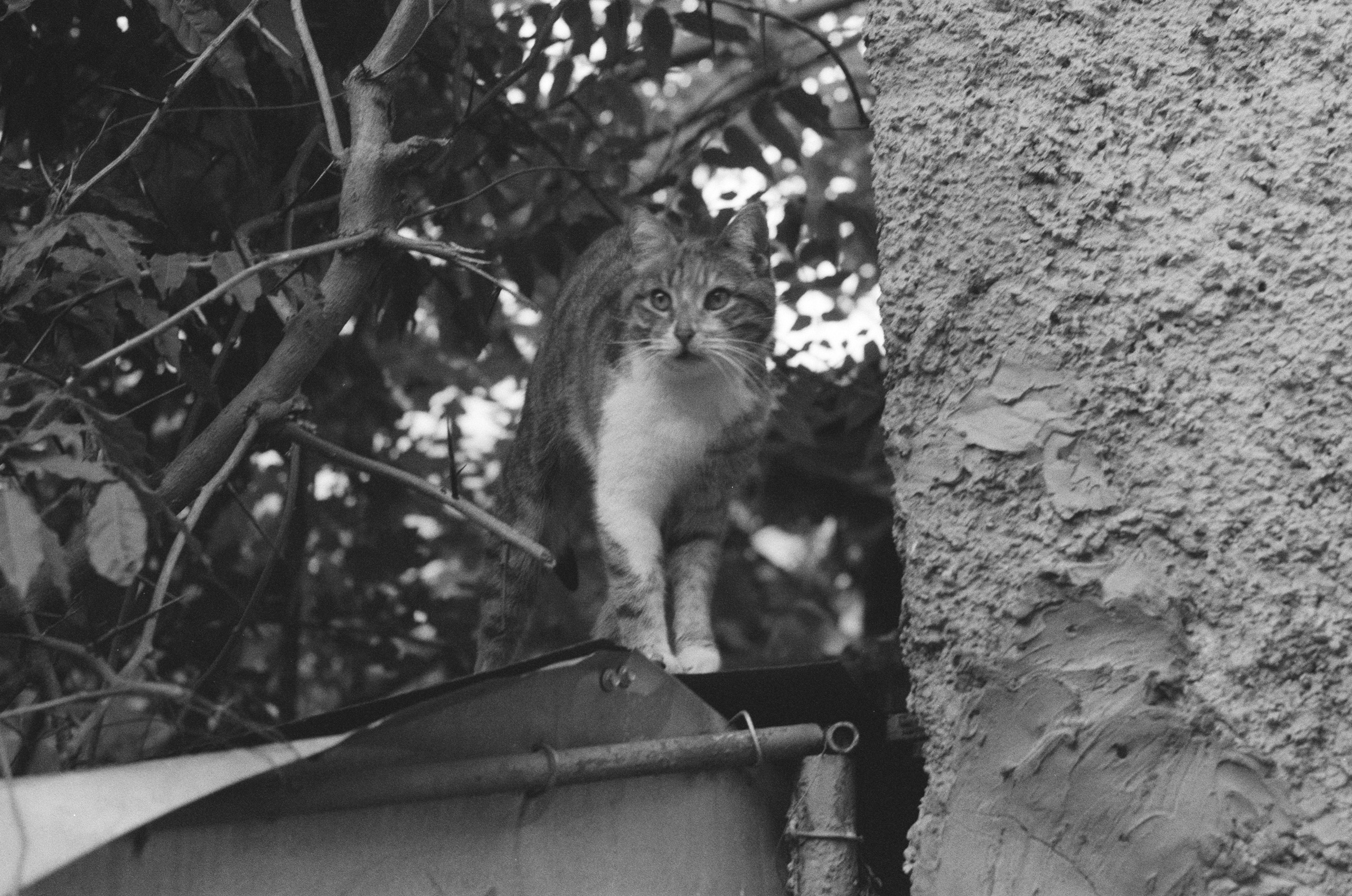 Plastinki // ukraine, crimea III. EVER EXPOSED