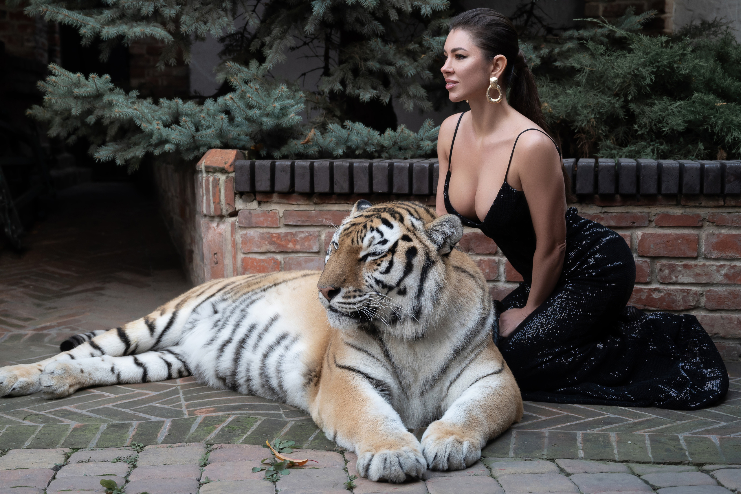 Тигрица Шанель. Катерина Дрюкова фотограф/видеограф