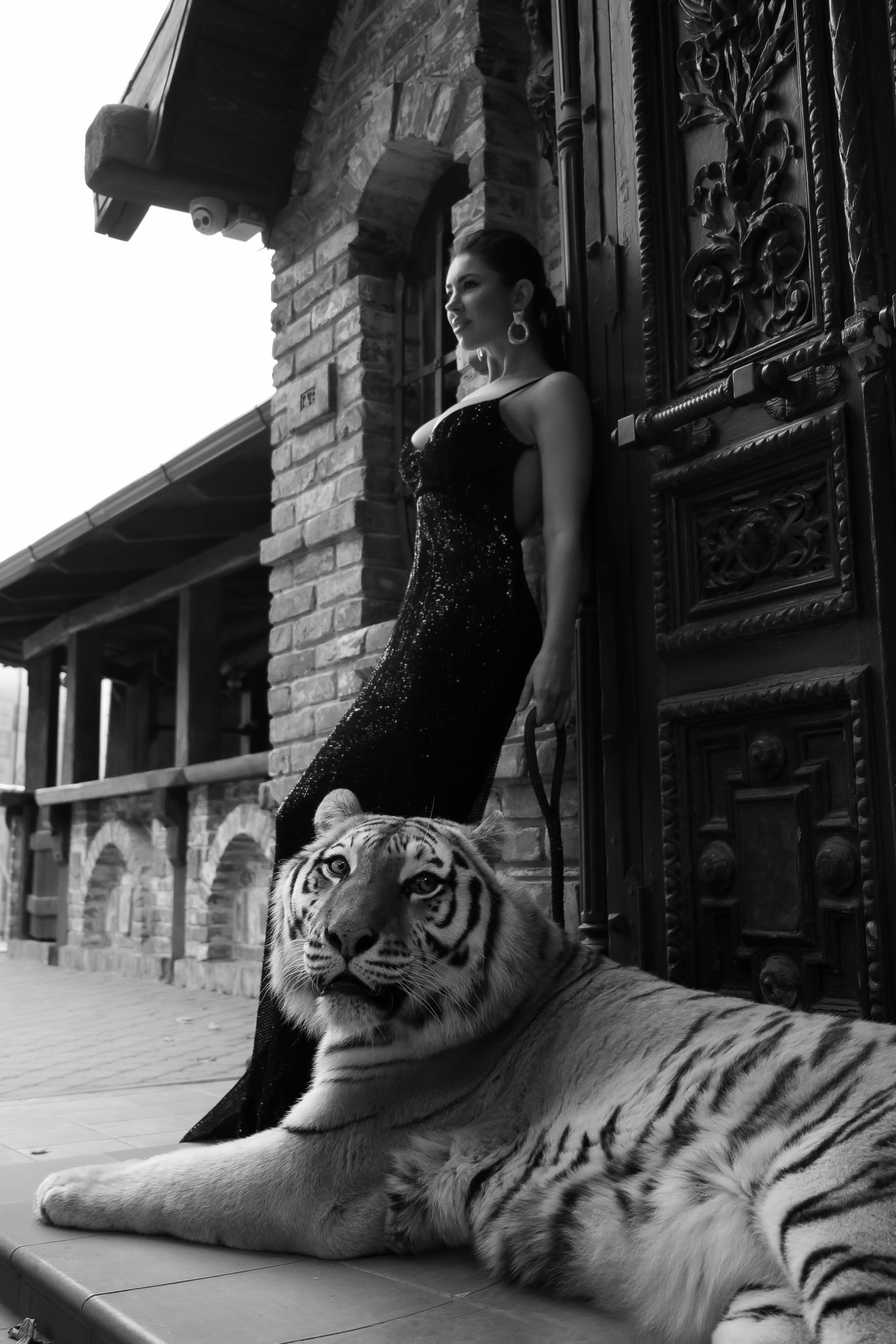 Тигрица Шанель. Катерина Дрюкова фотограф/видеограф