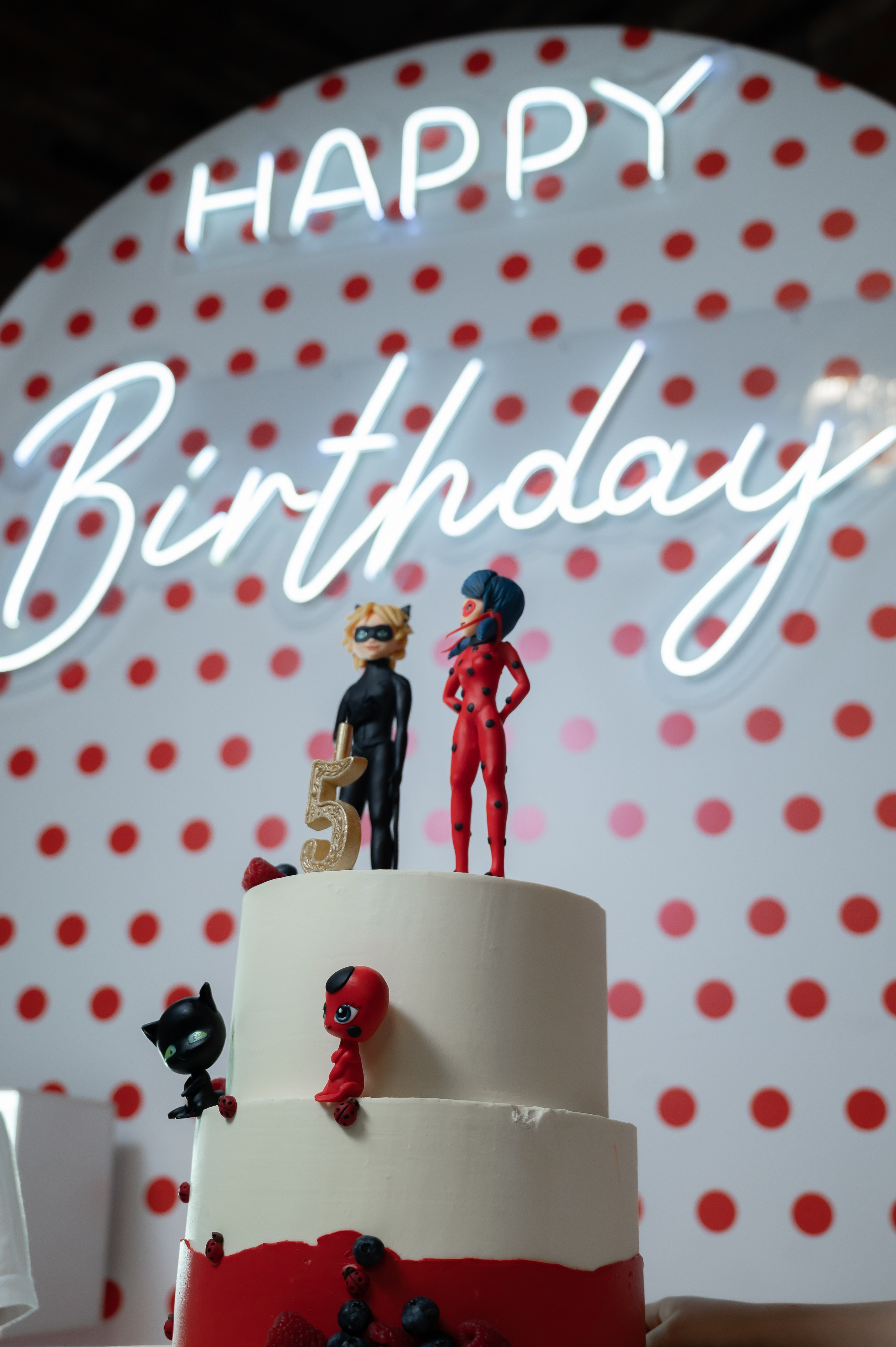 Николь 5 лет. Катерина Дрюкова фотограф/видеограф