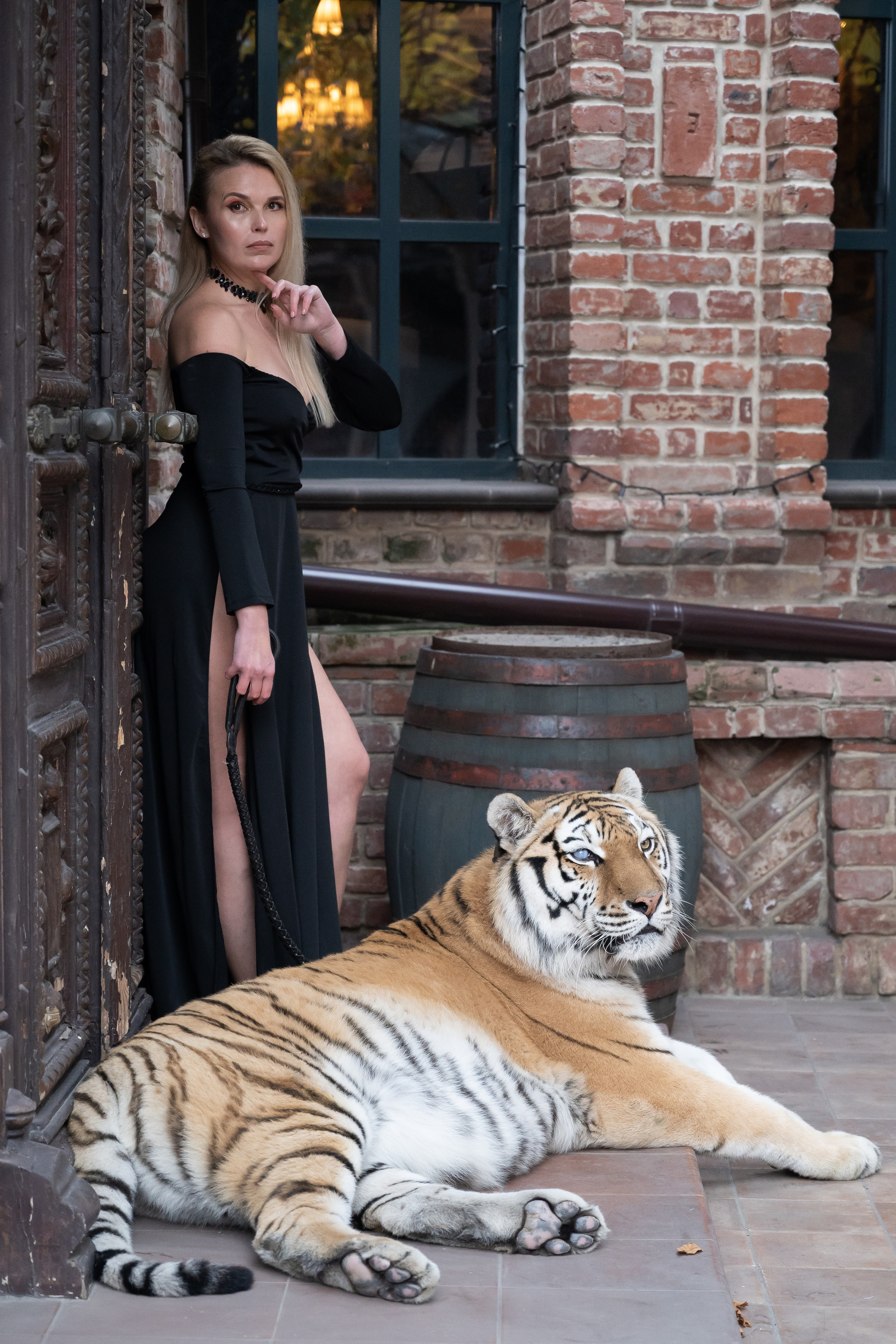 Тигрица Шанель. Катерина Дрюкова фотограф/видеограф