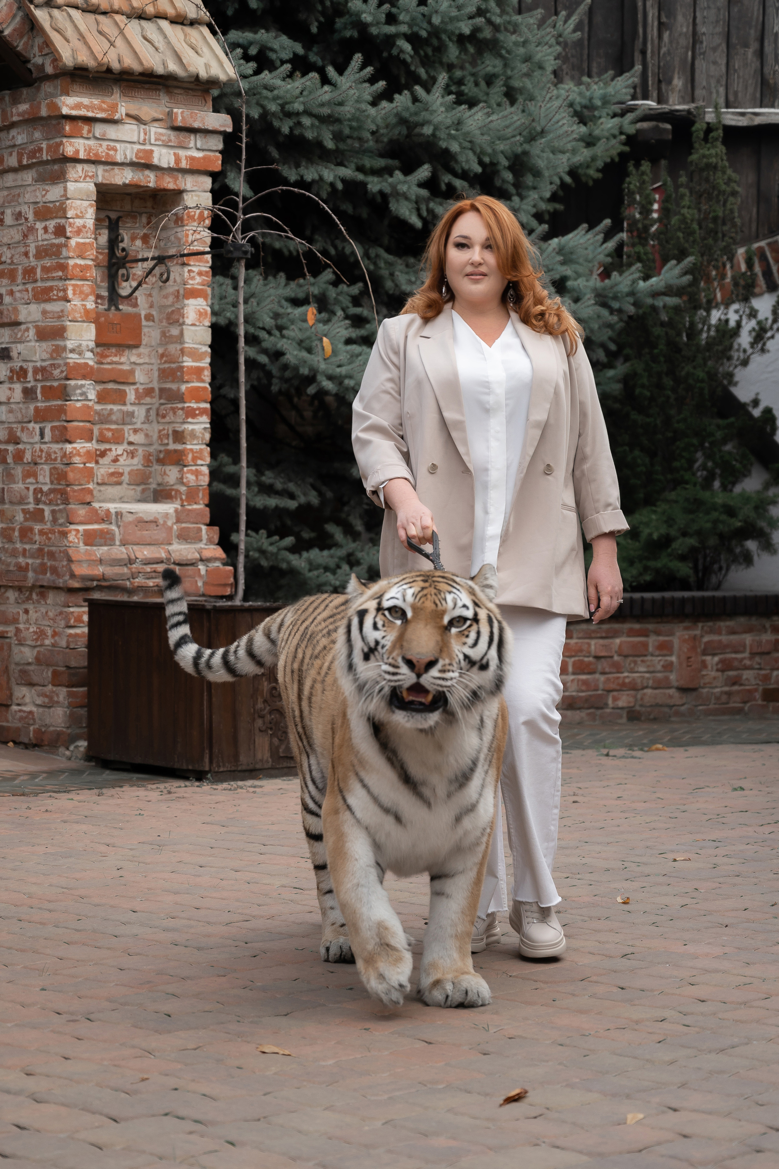 Тигрица Шанель. Катерина Дрюкова фотограф/видеограф