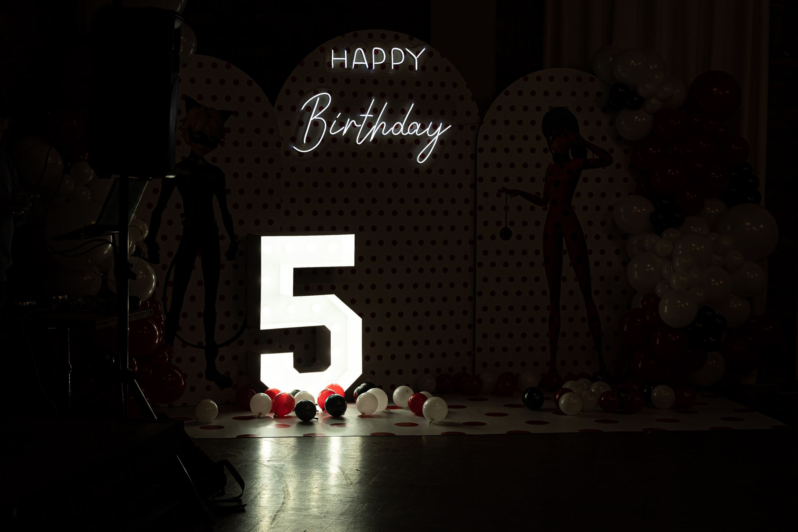 Николь 5 лет. Катерина Дрюкова фотограф/видеограф