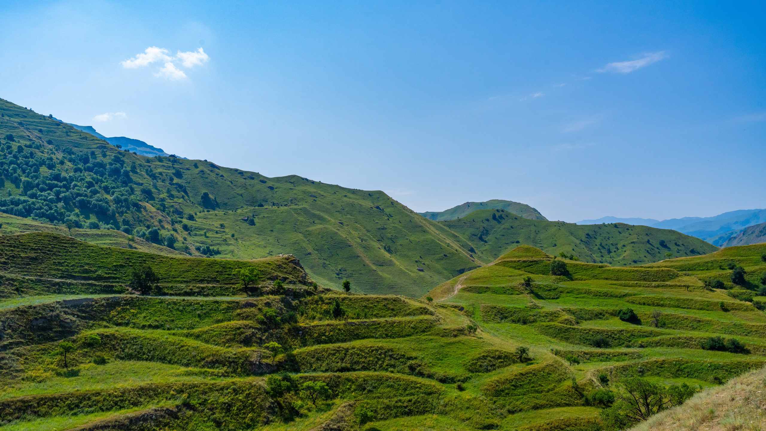 Дагестан. Фотограф в Москве. Шахабудин