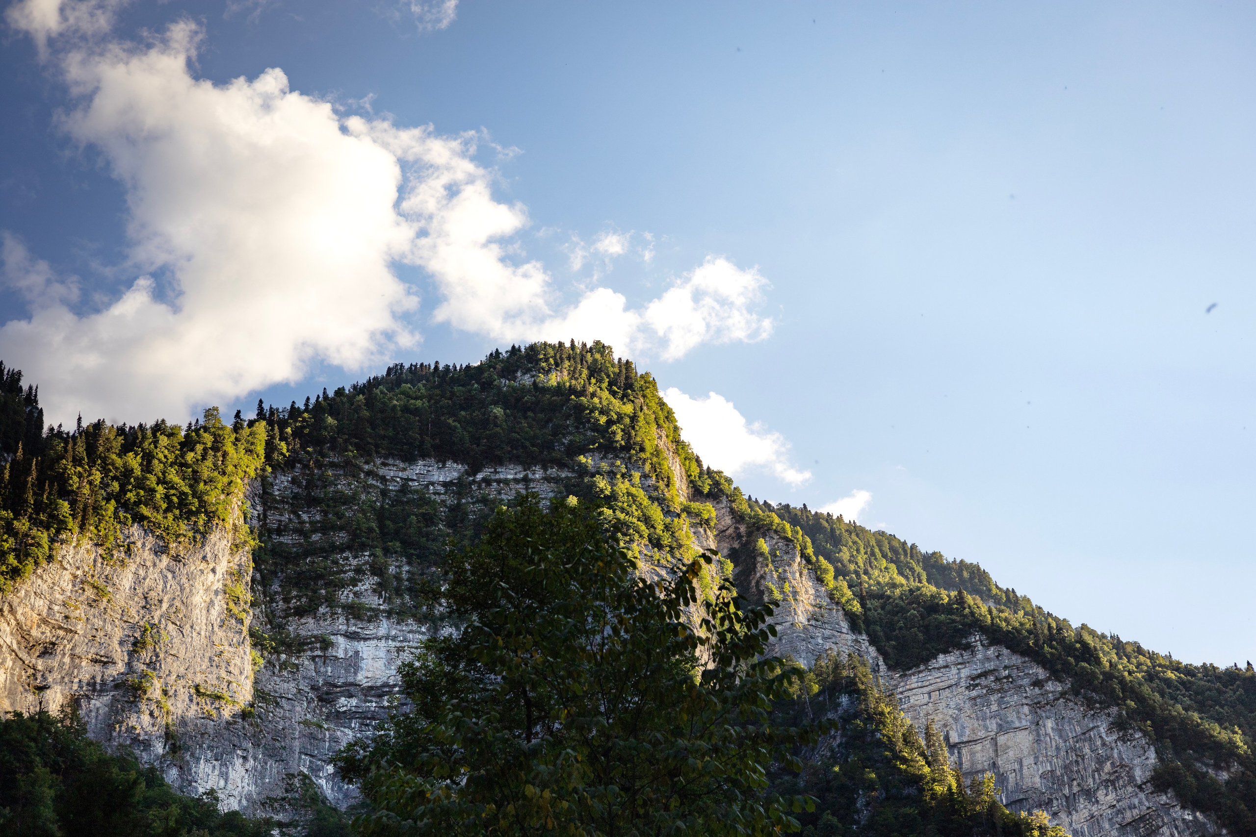 Пейзажная фотография — Вдохновение дикой природой | Максим Ремизевич. Maxim Remizevich | Photographer