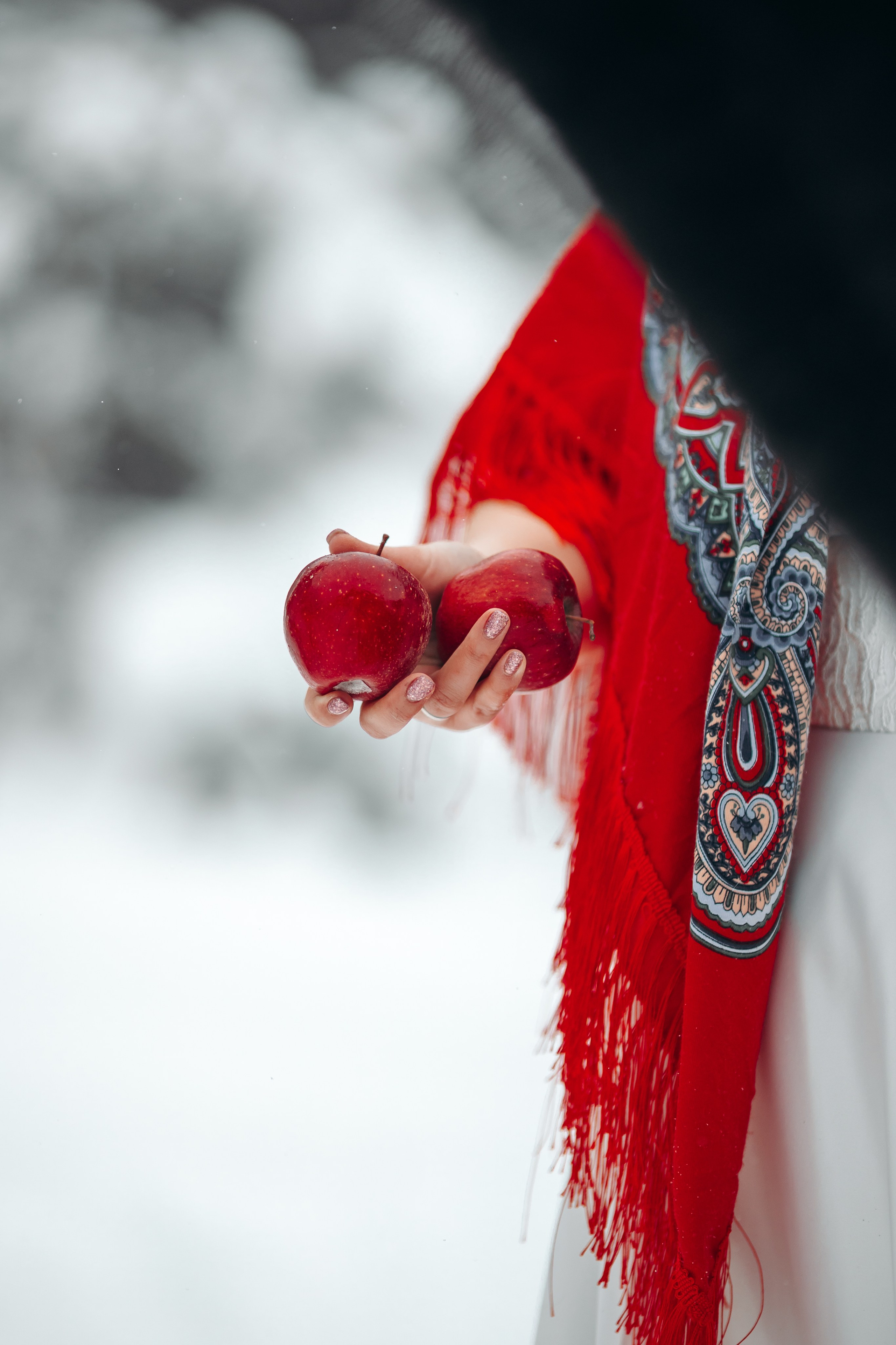 Яблоки на снегу. Анна Молчанова конный фотограф в Тюмени | фотосессии с лошадьми Тюмень