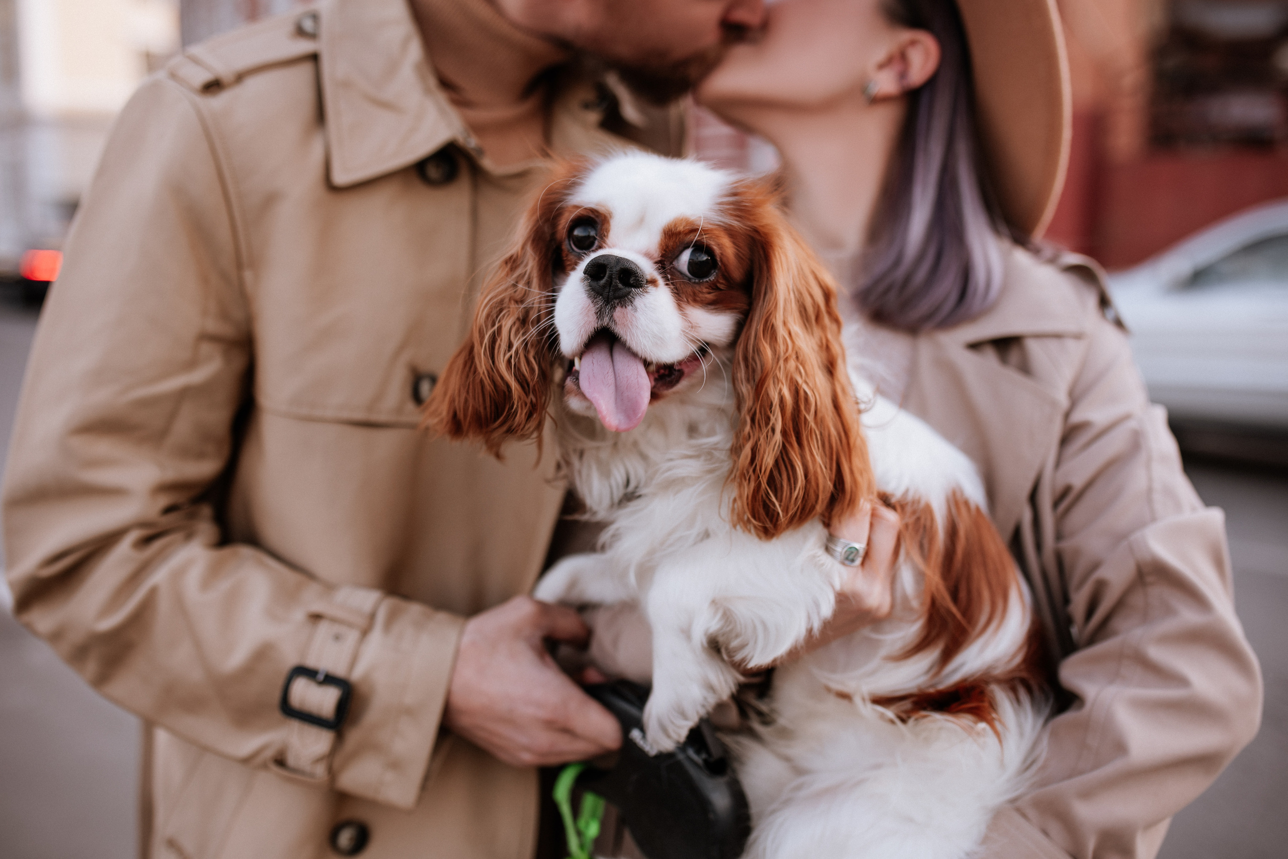 Лера, Артем и Люпин. Свадебный фотограф Елена Рубцова