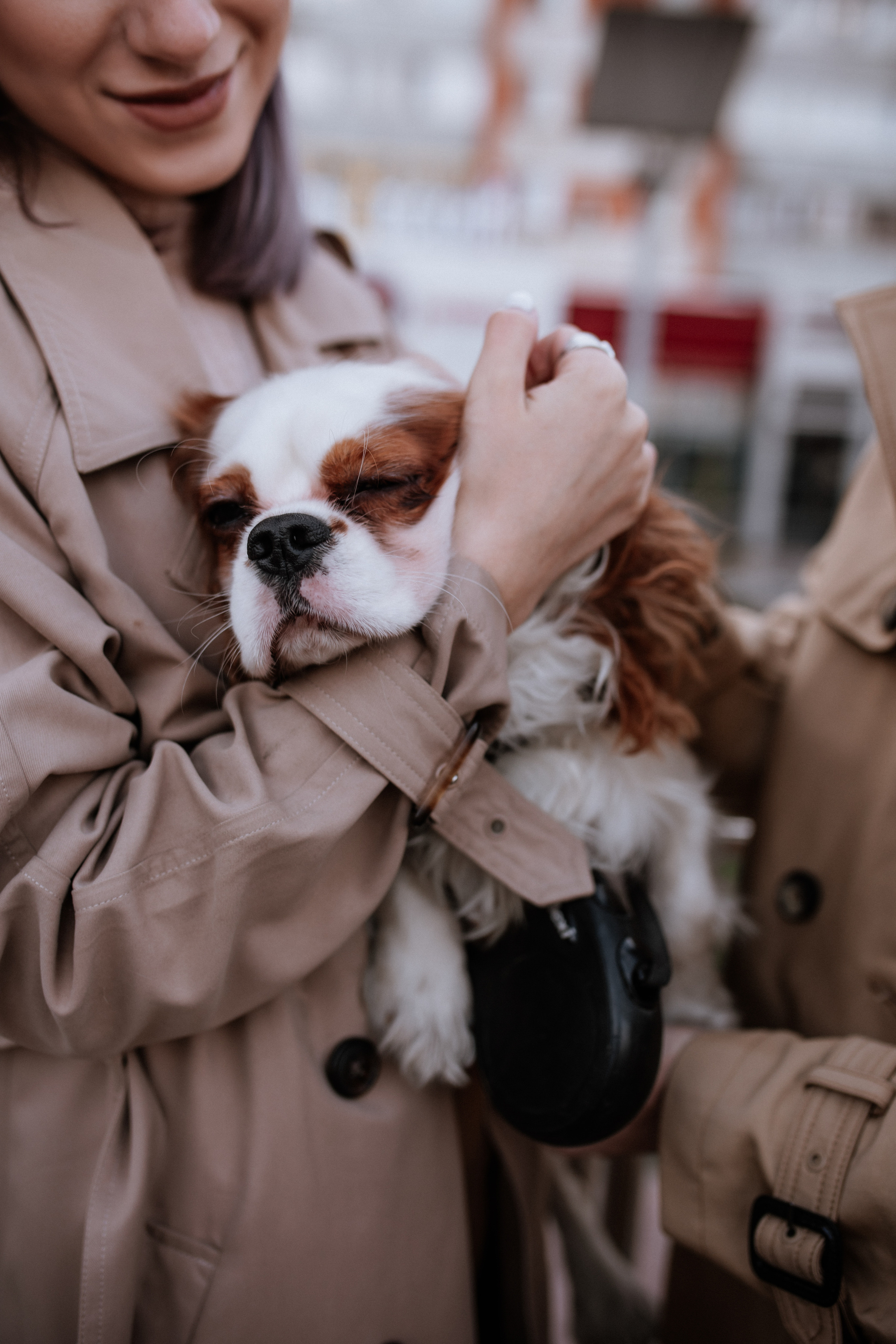Лера, Артем и Люпин. Свадебный фотограф Елена Рубцова