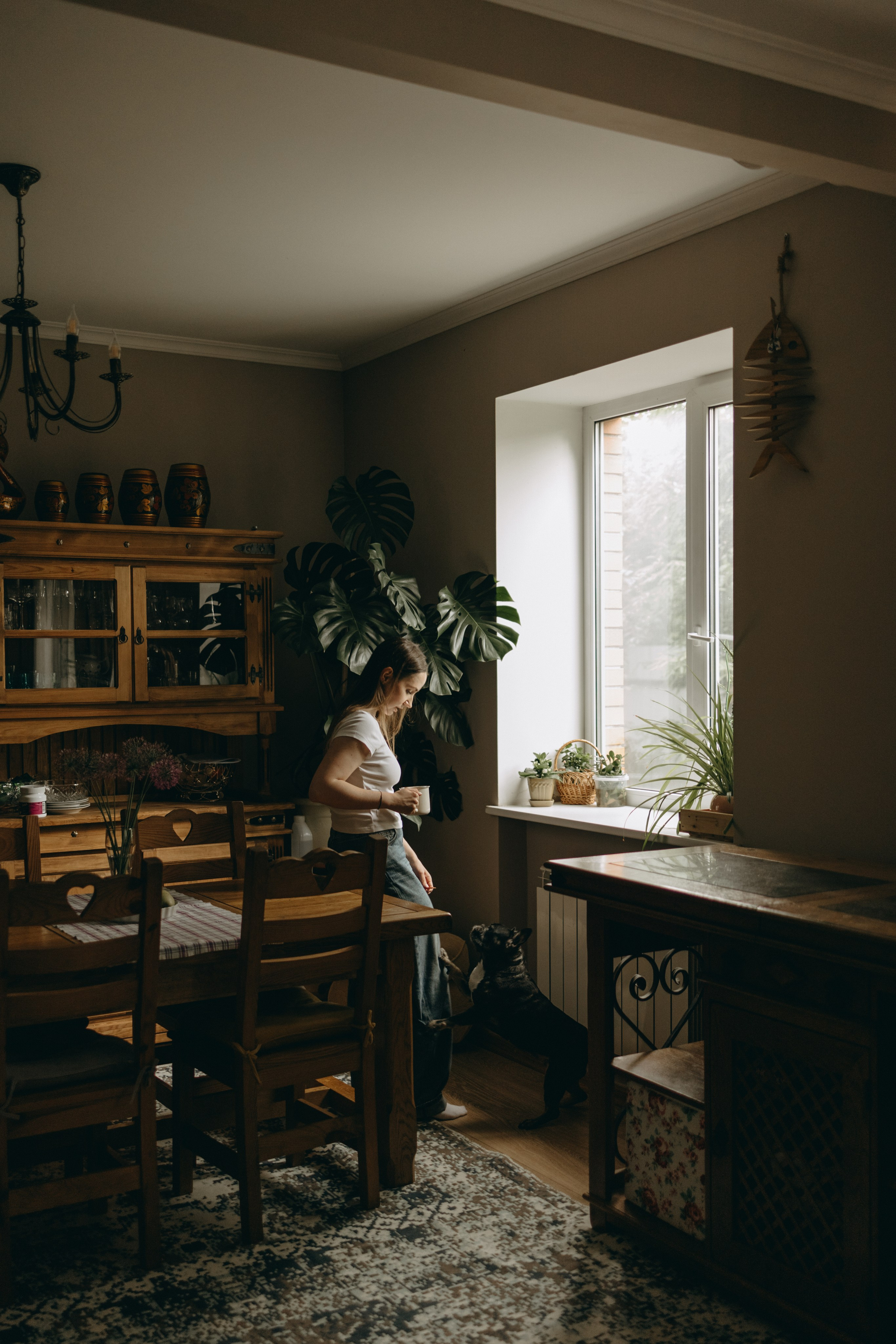 Софа и ее хвостики. Фотограф — Анималист | Санкт-Петербург