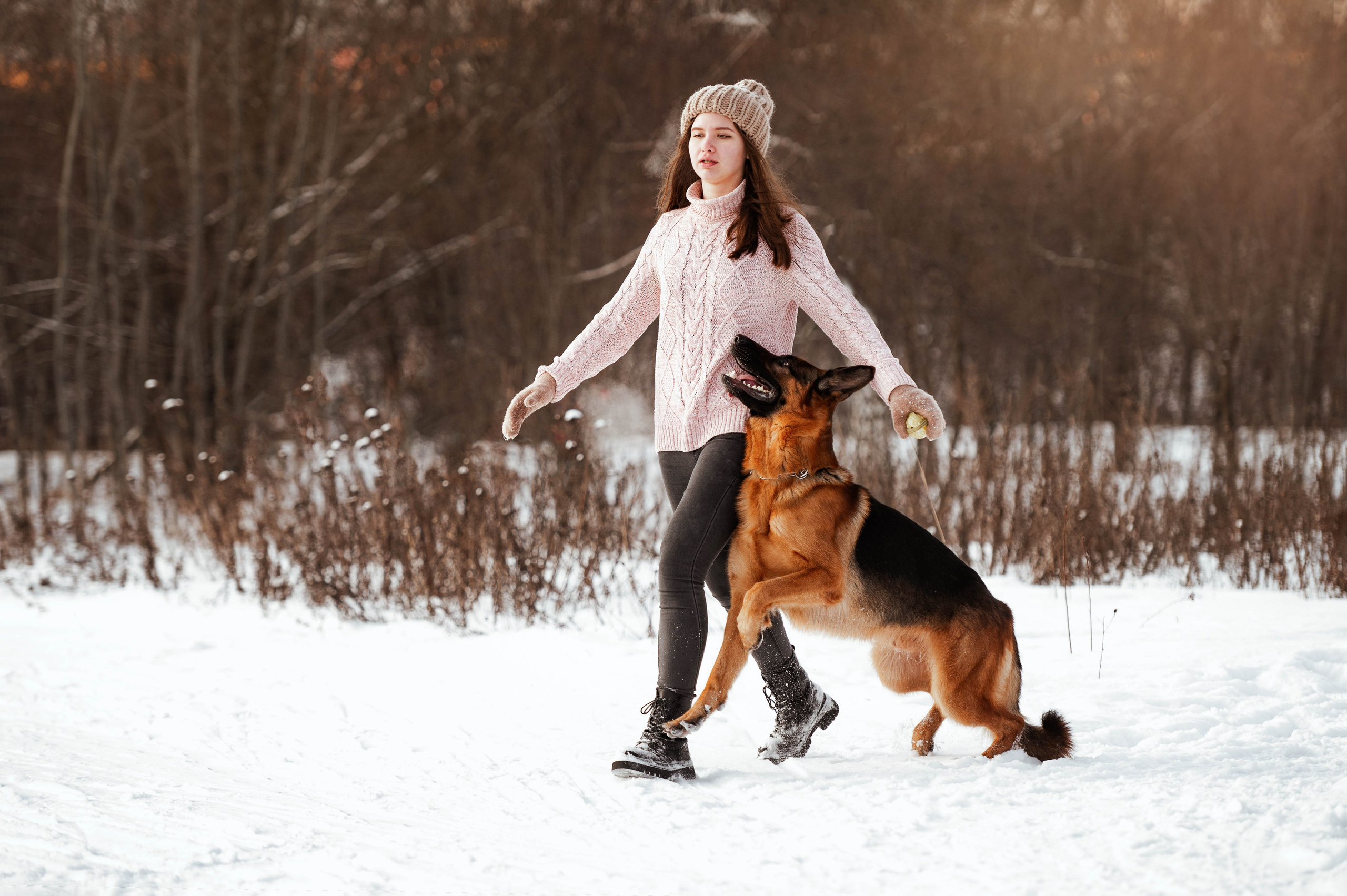 Вольт. Фотограф-анималист