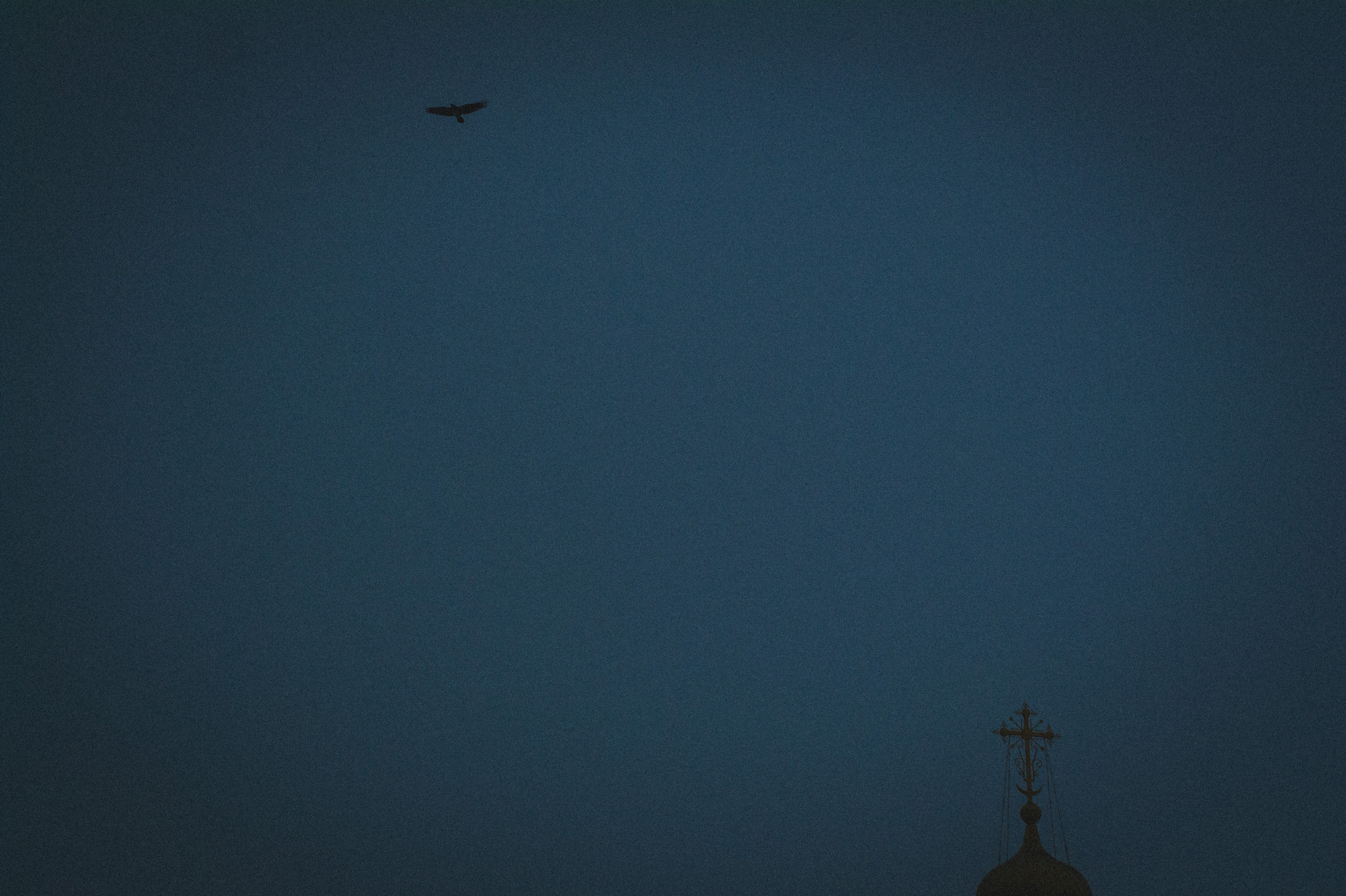 45 minutes. Den Mirov — Photographer, Musician